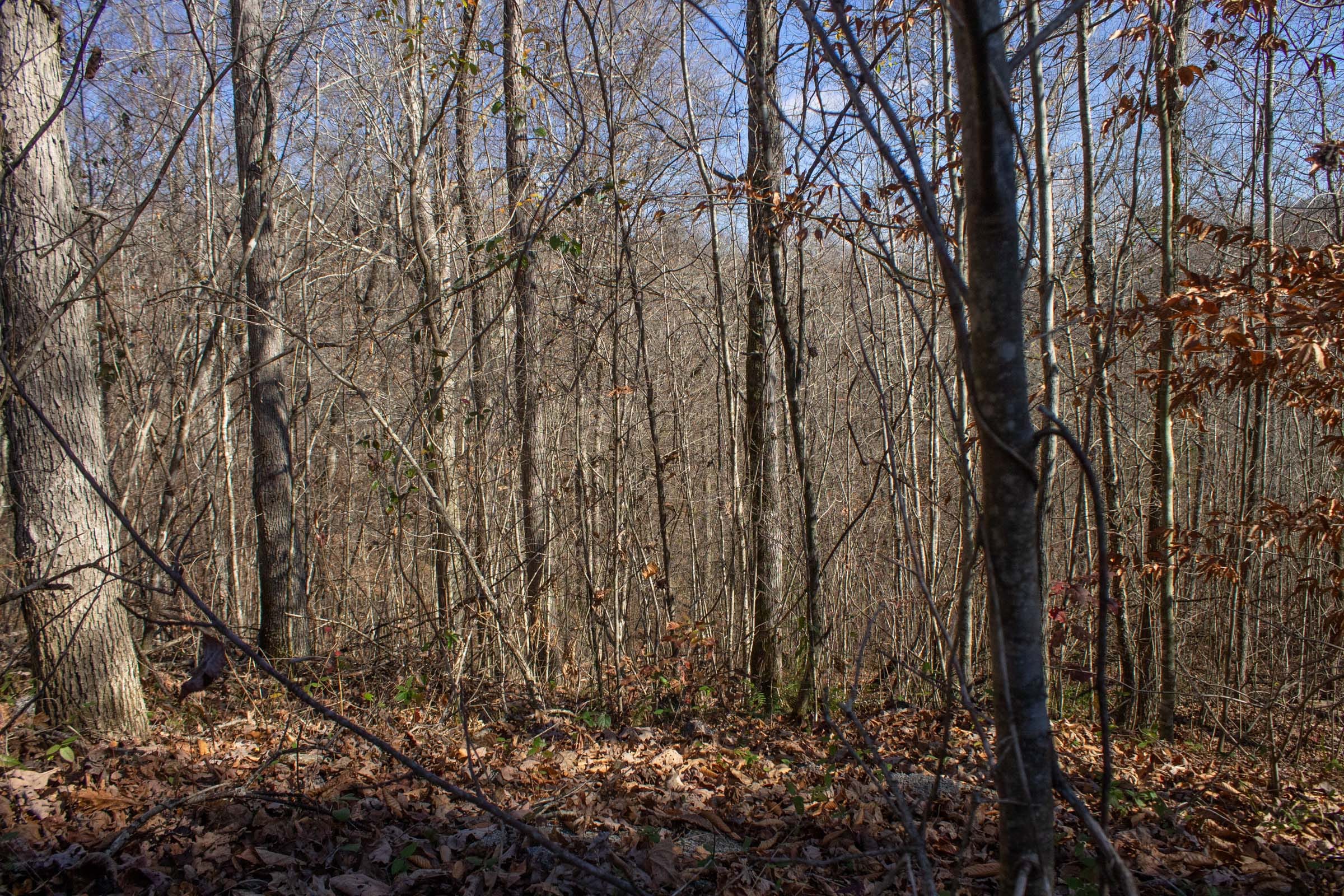 The Cliffs Tract 1 photo 5