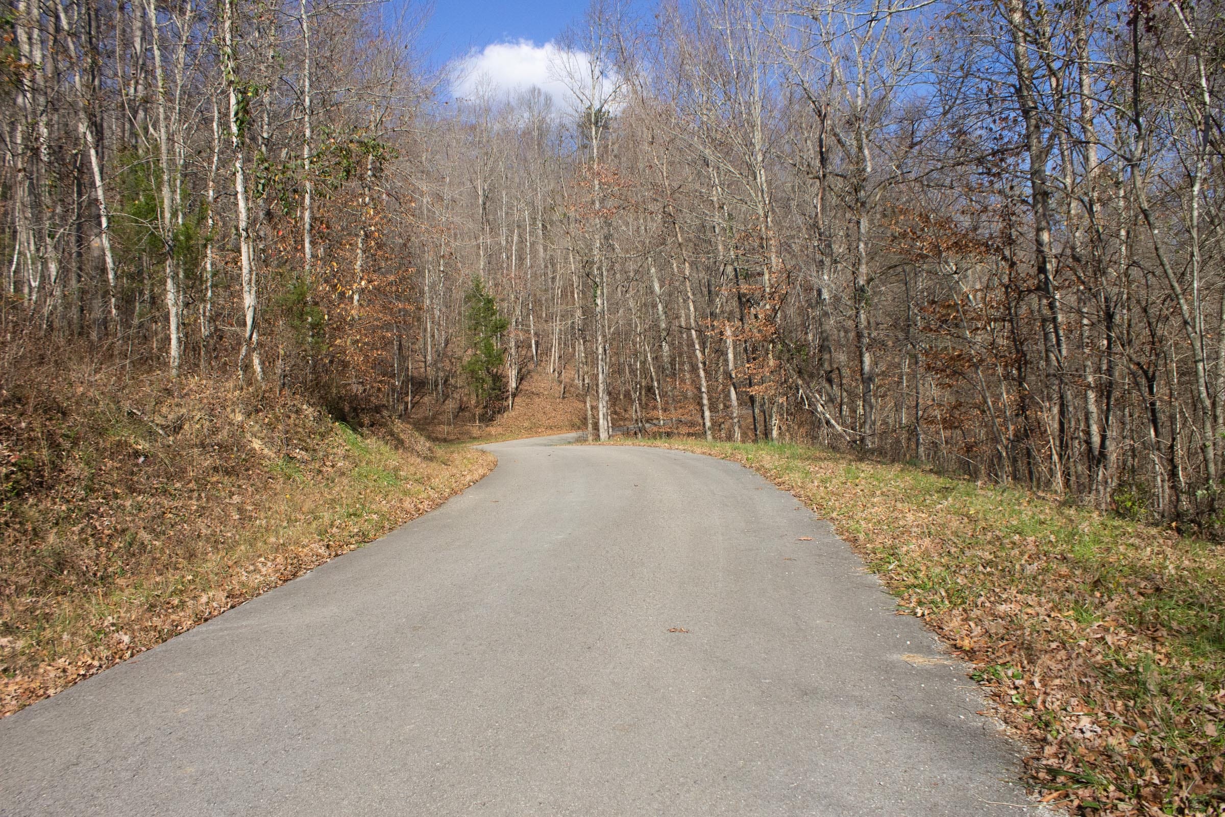 The Cliffs Tract 1 photo 7