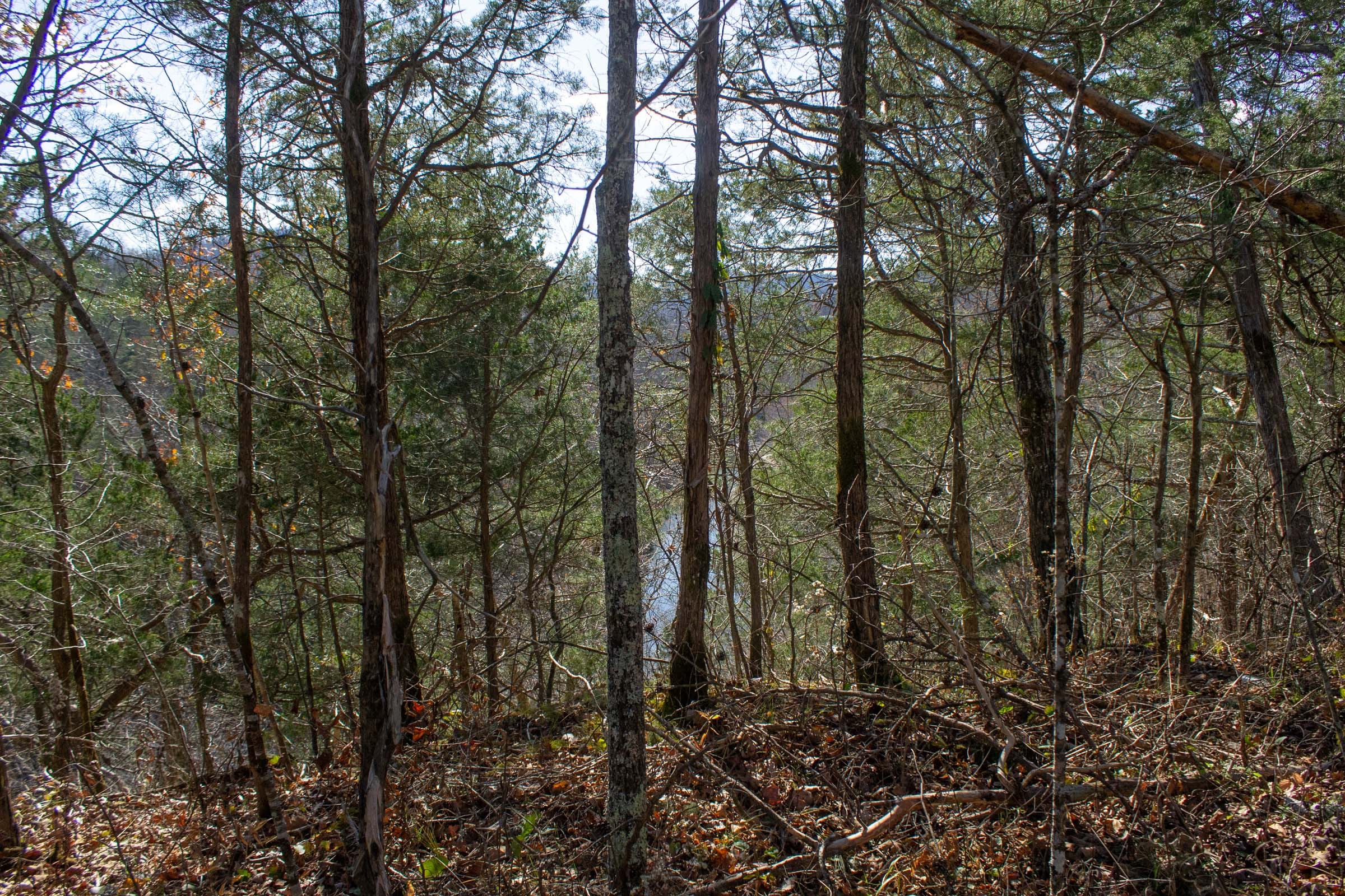 The Cliffs Tract 1 photo 8