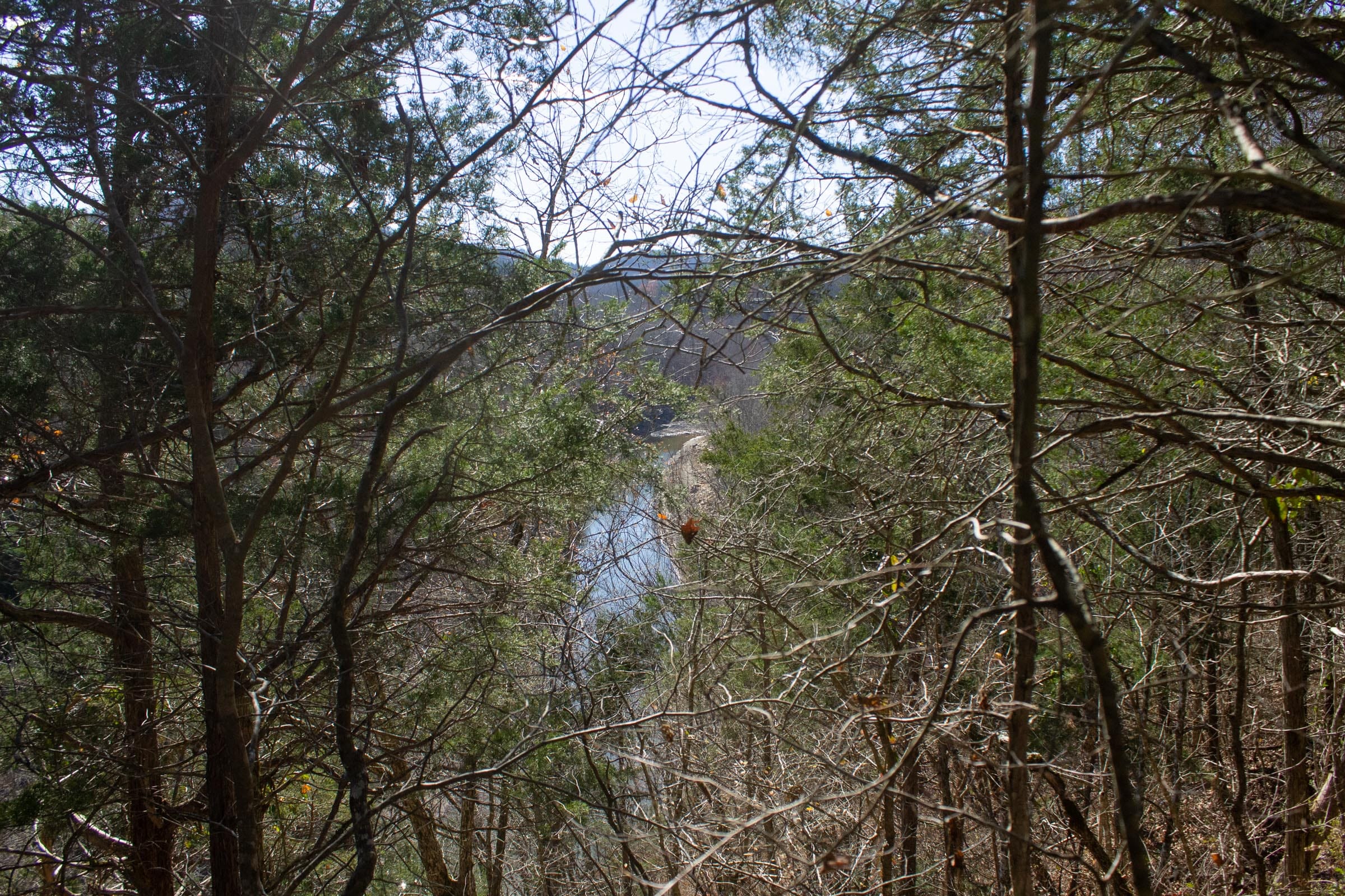 The Cliffs Tract 1 photo 9