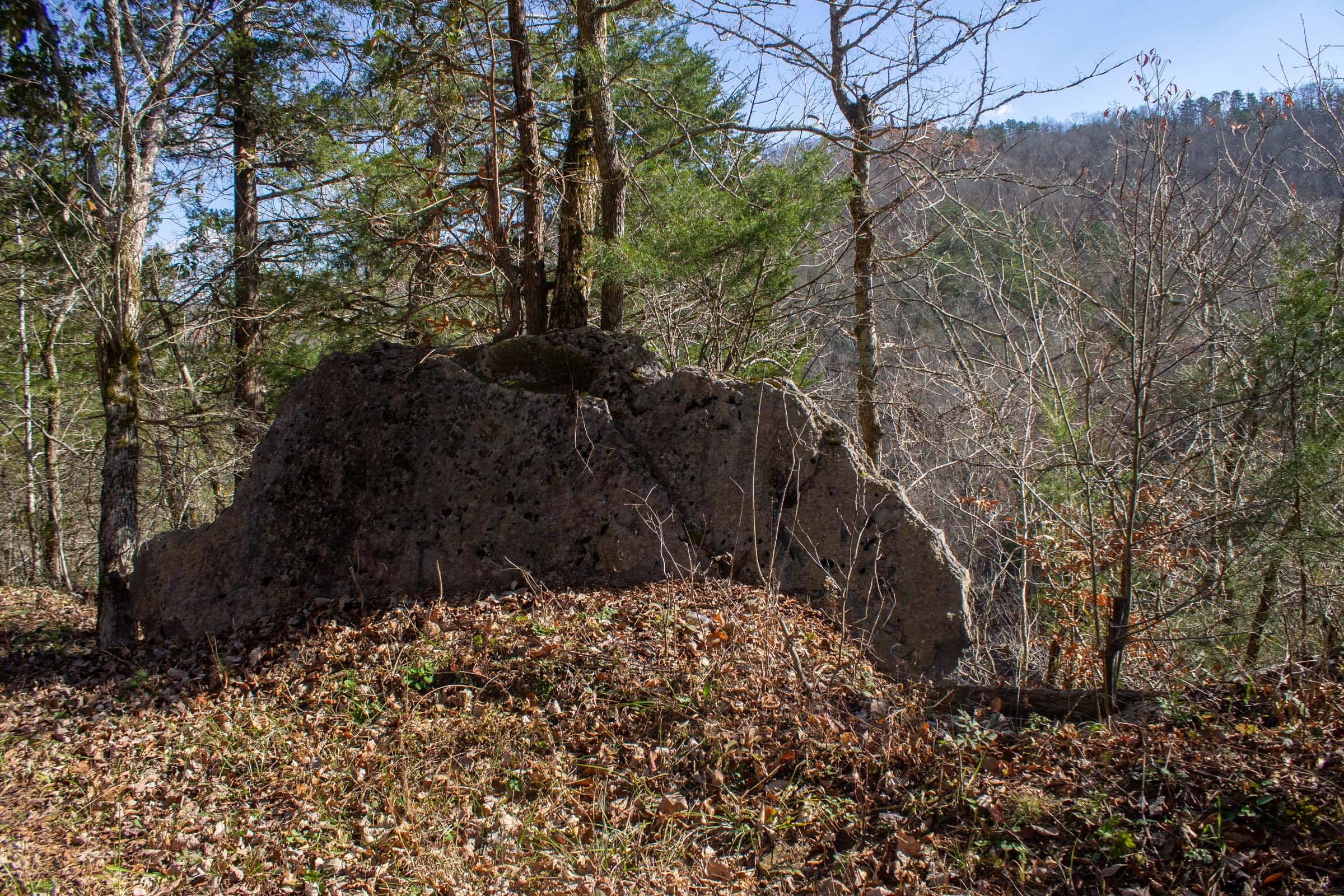 The Cliffs Tract 1 photo 10