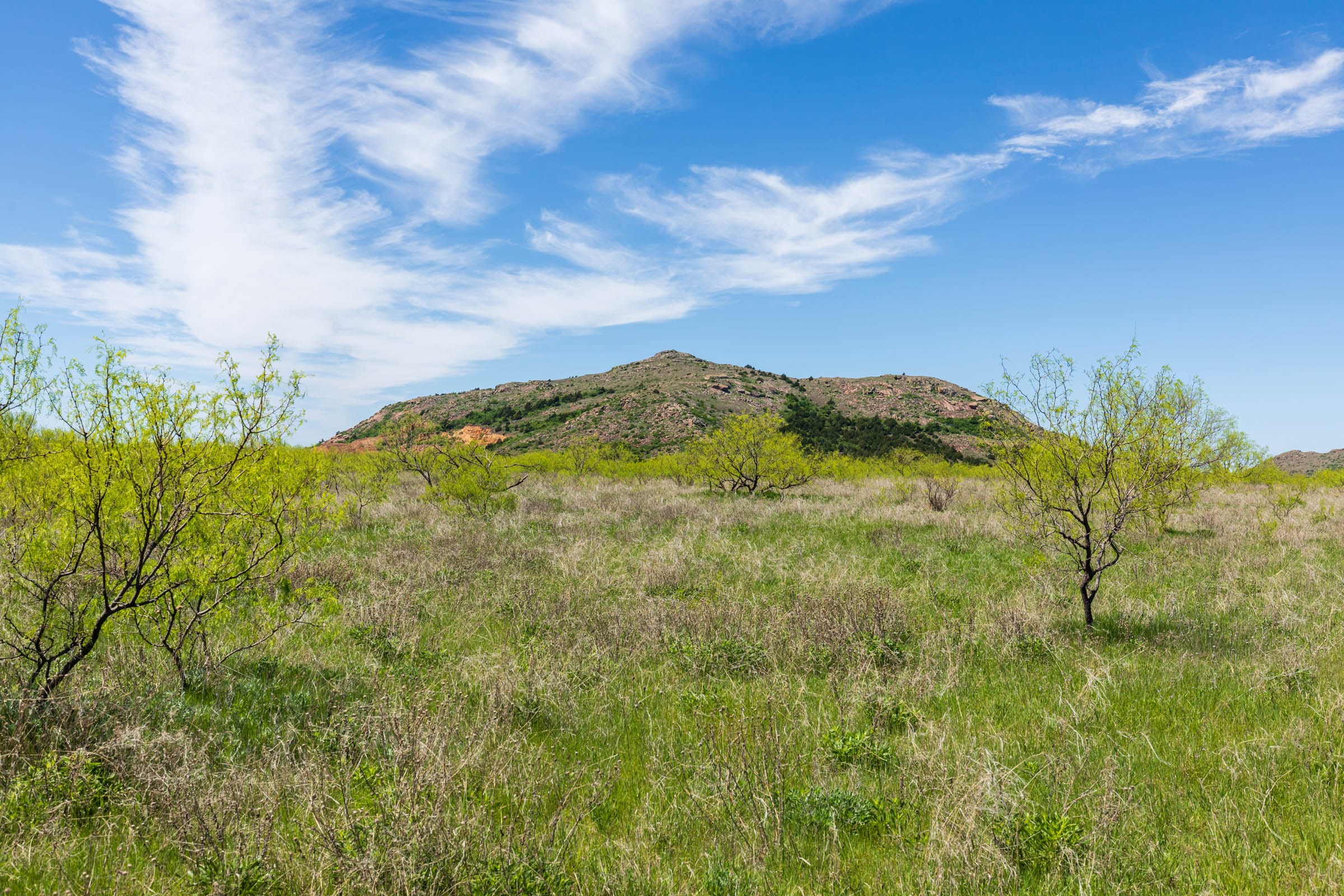 Hackberry Fields Tract 4 photo 3