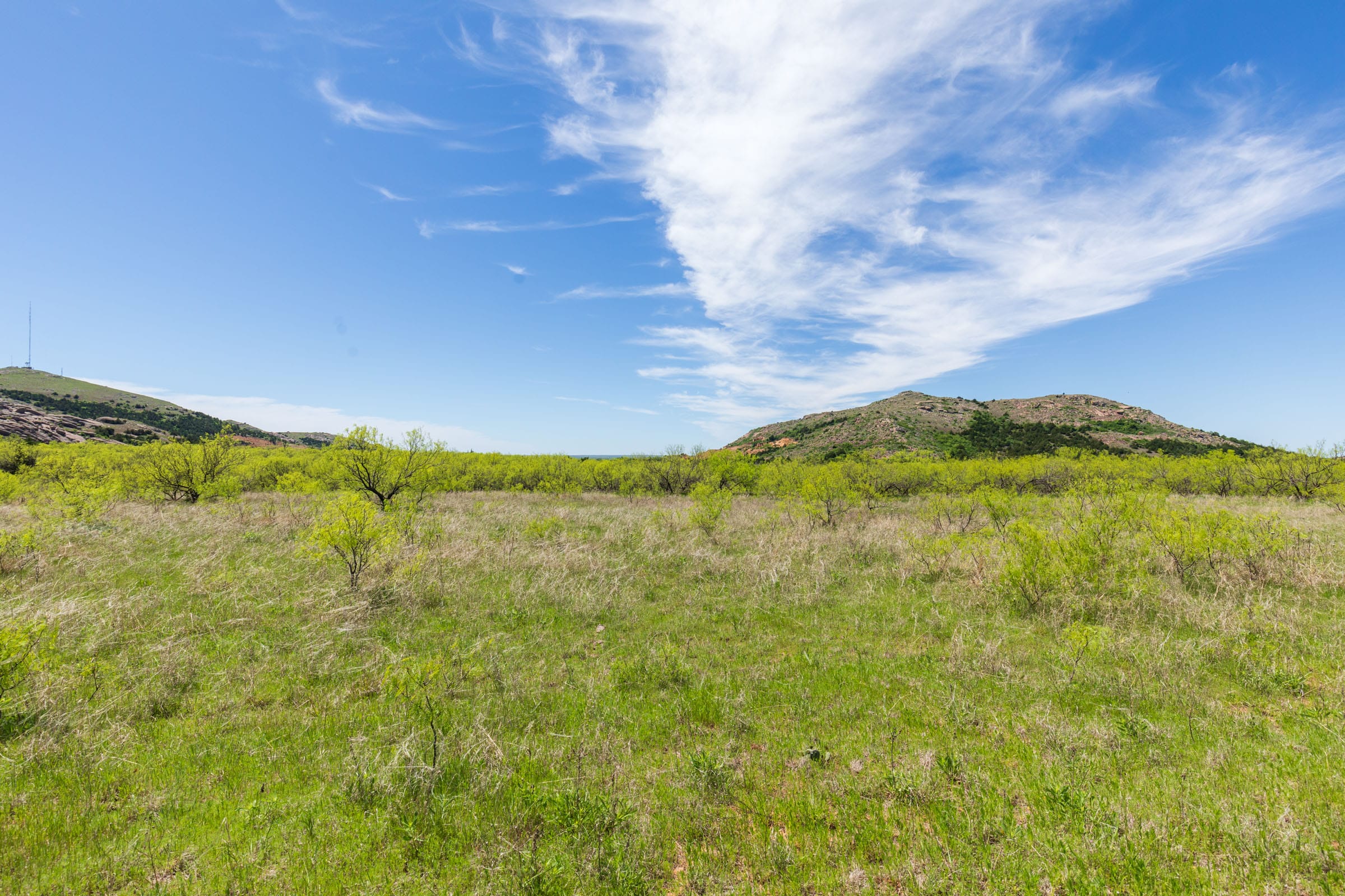 Hackberry Fields Tract 4 photo 6
