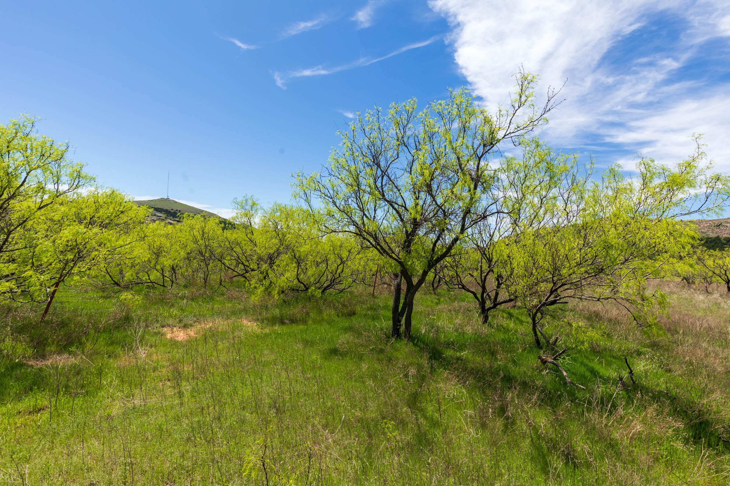 Hackberry Fields Tract 4 photo 8