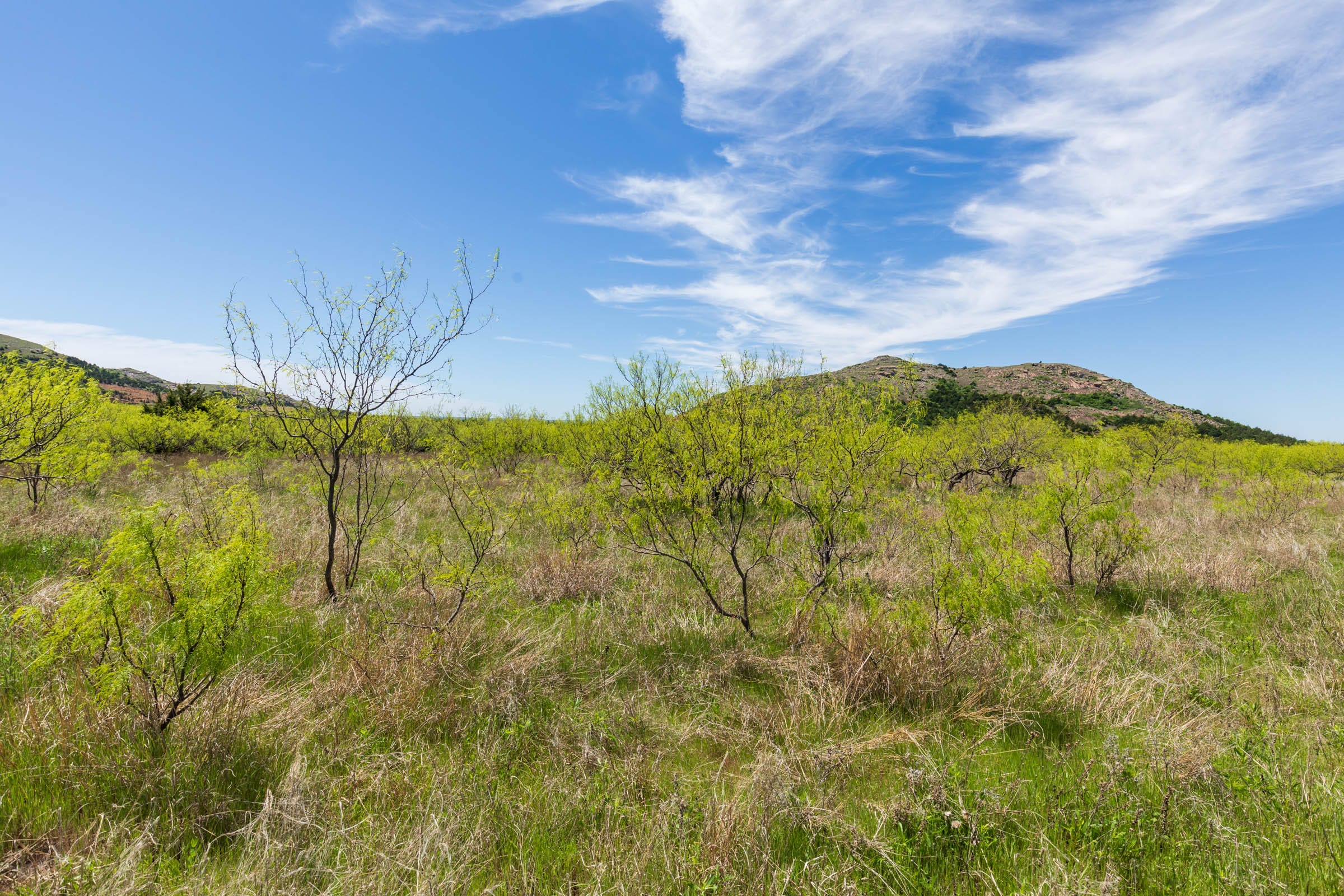 Hackberry Fields Tract 4 photo 10