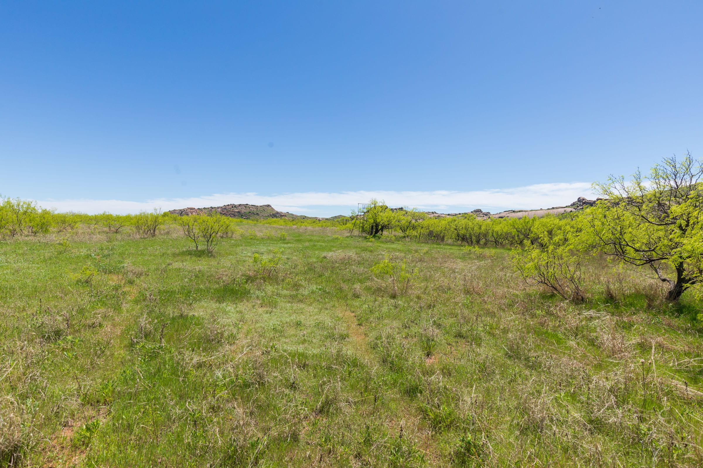 Hackberry Fields Tract 4 photo 11