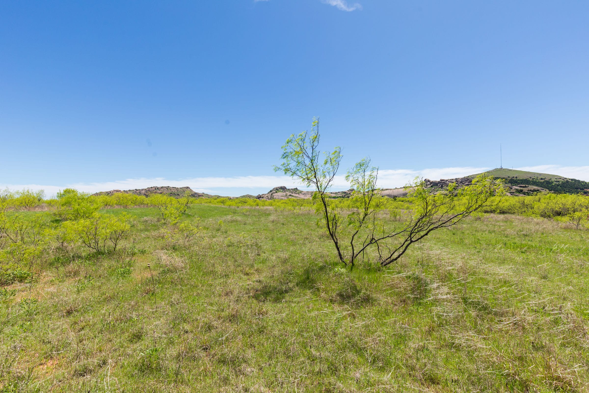 Hackberry Fields Tract 4 photo 13