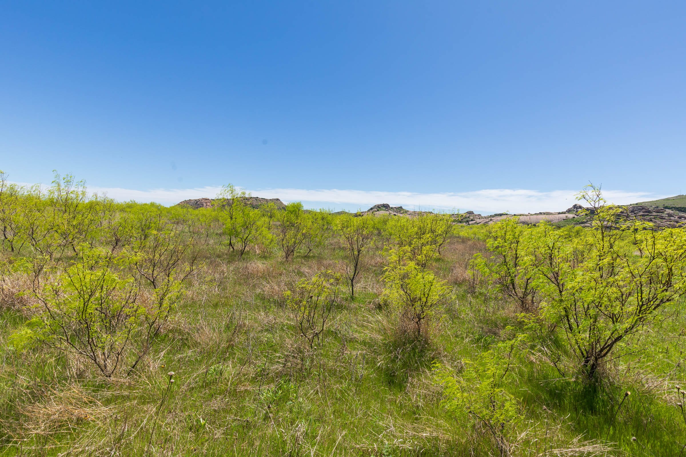 Hackberry Fields Tract 4 photo 16