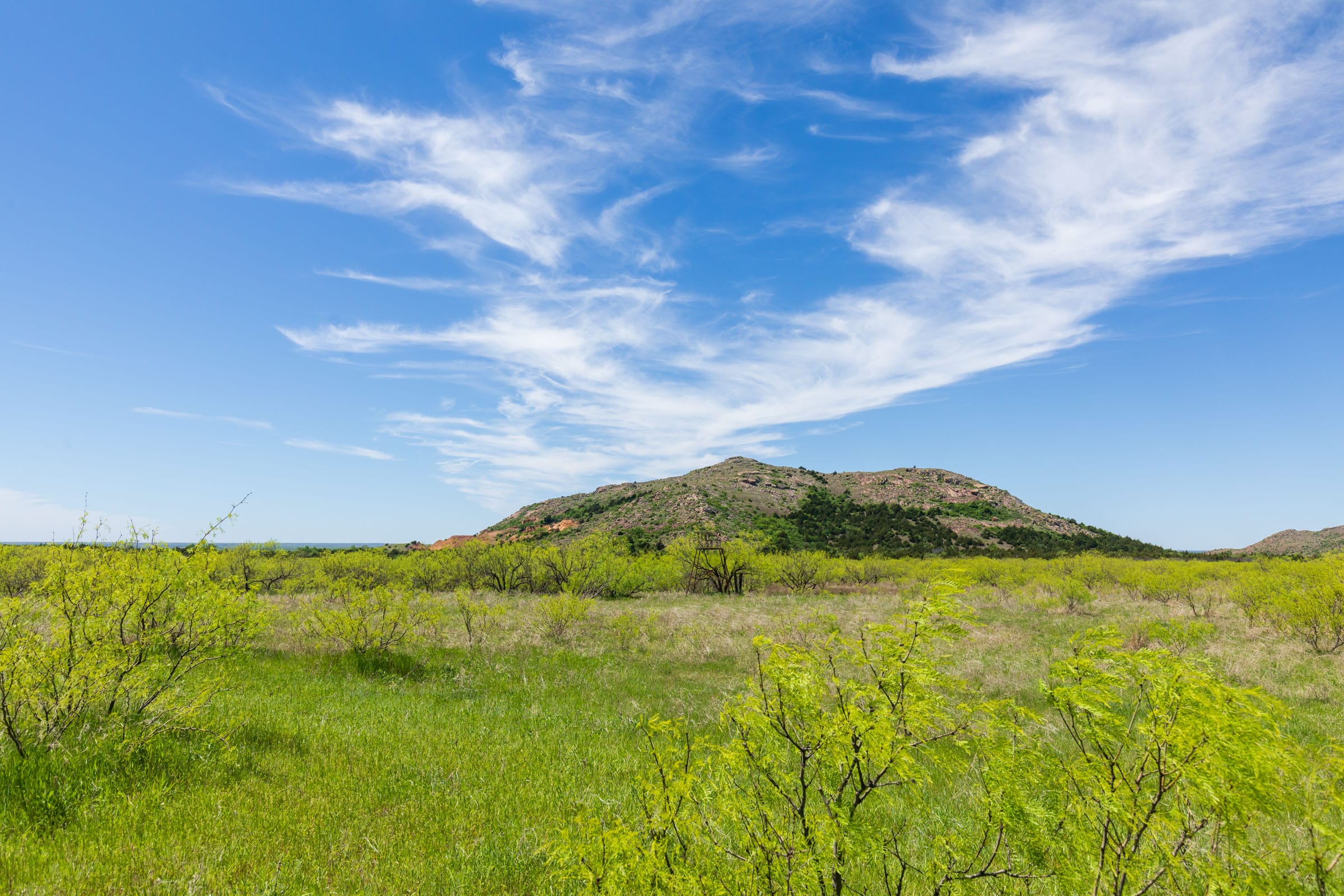 Hackberry Fields Tract 4 photo 14