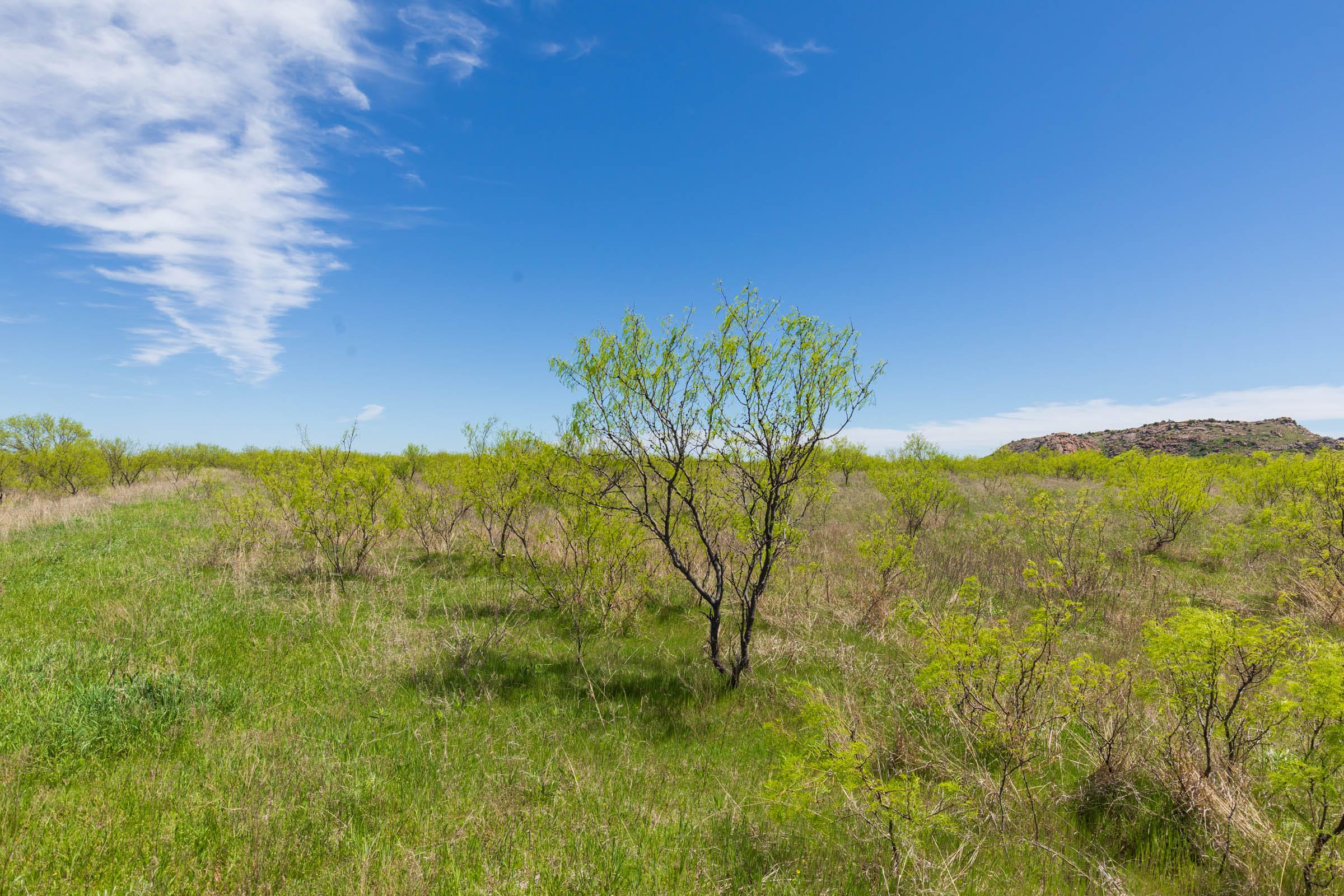 Hackberry Fields Tract 4 photo 15