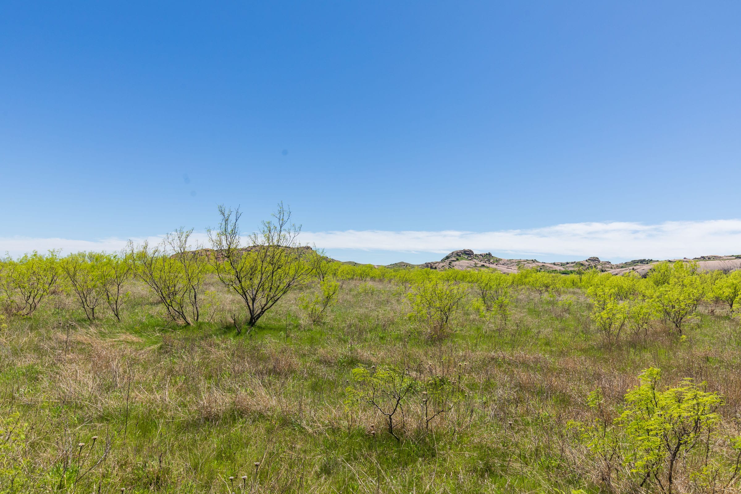 Hackberry Fields Tract 4 photo 18