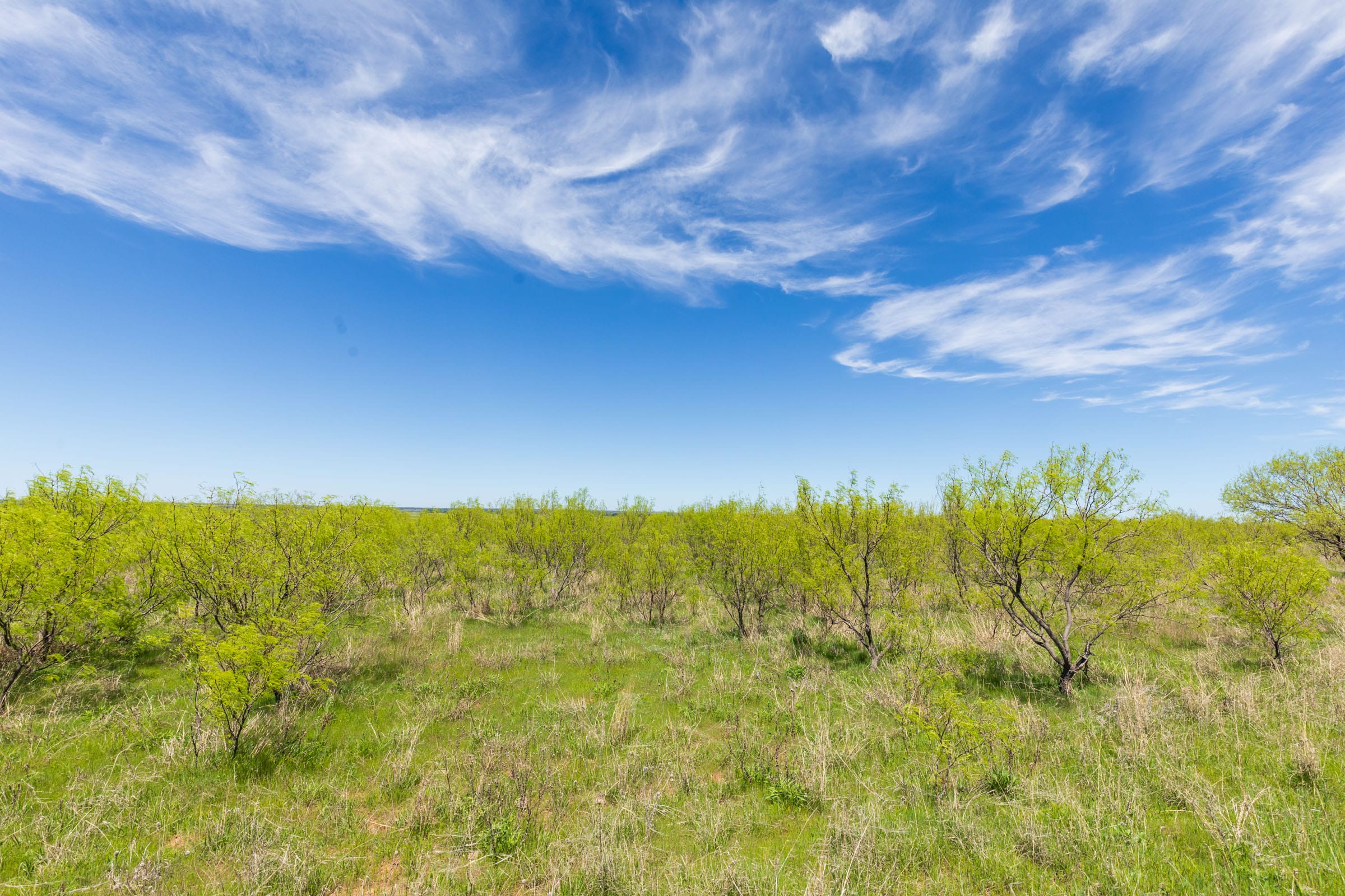 Hackberry Fields Tract 4 photo 19