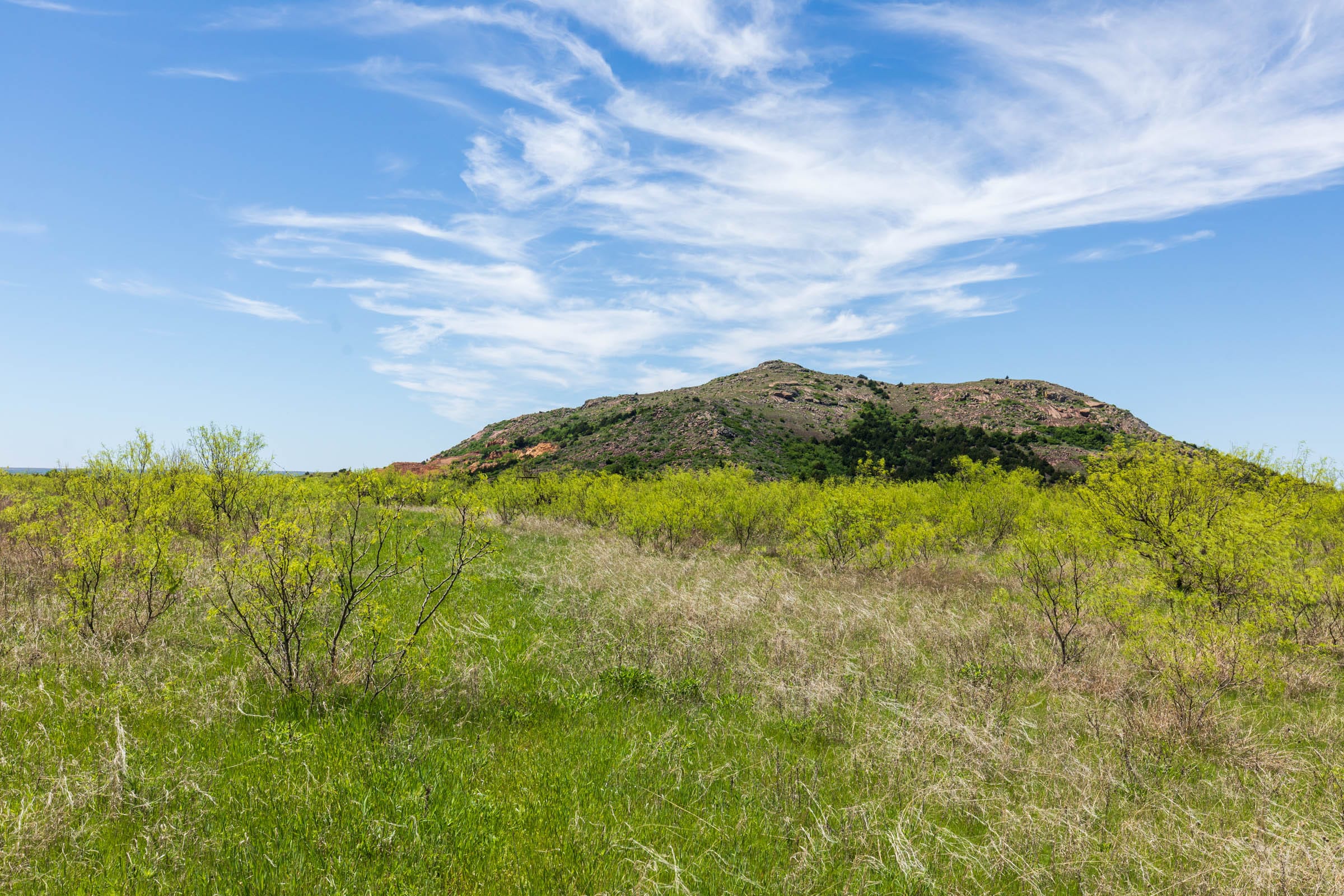 Hackberry Fields Tract 4 photo 23