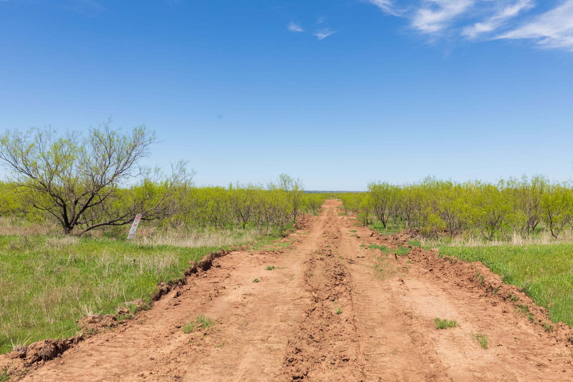 Hackberry Fields Tract 4 photo 17