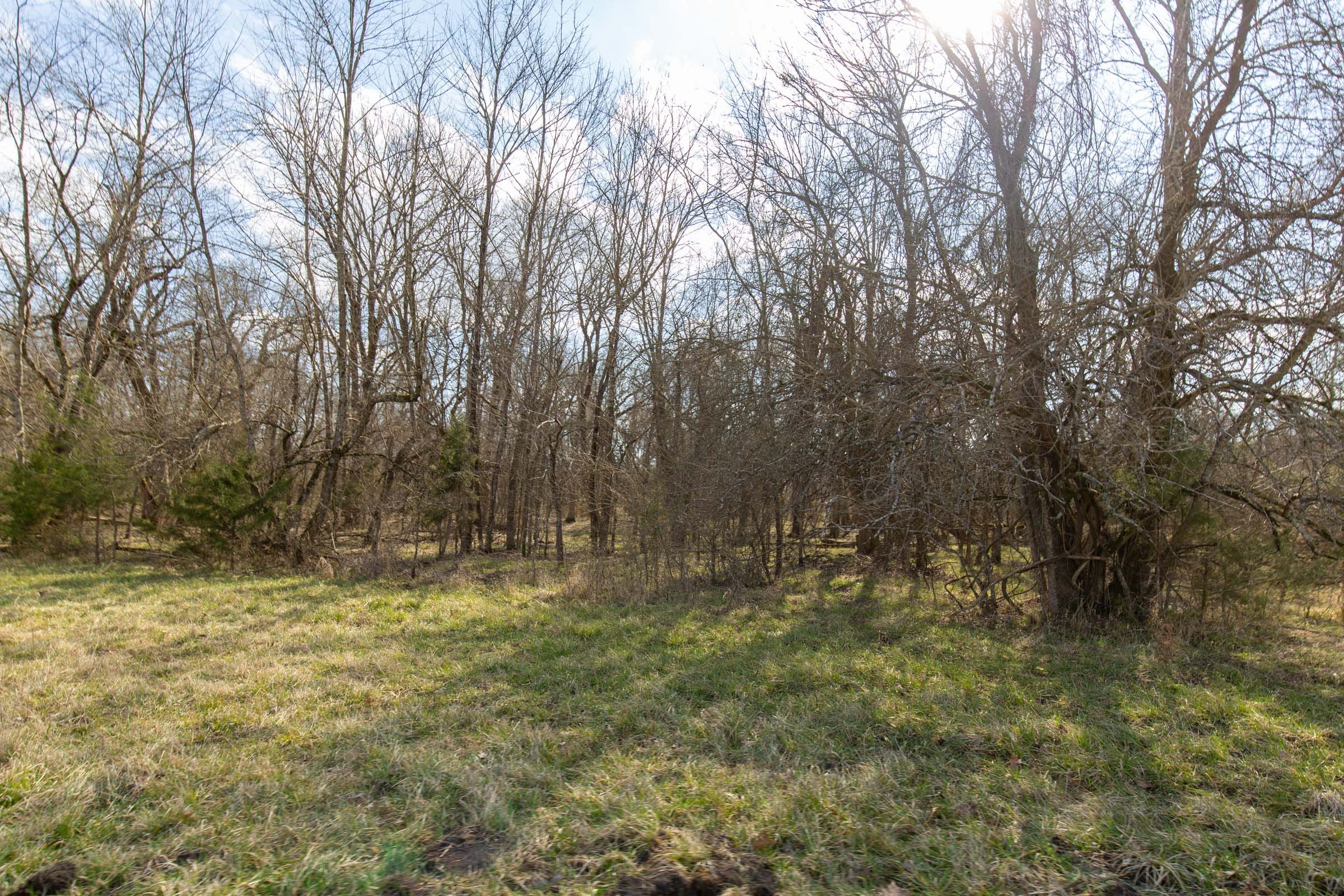 Wishing Star Ranch Tract 65 photo 2