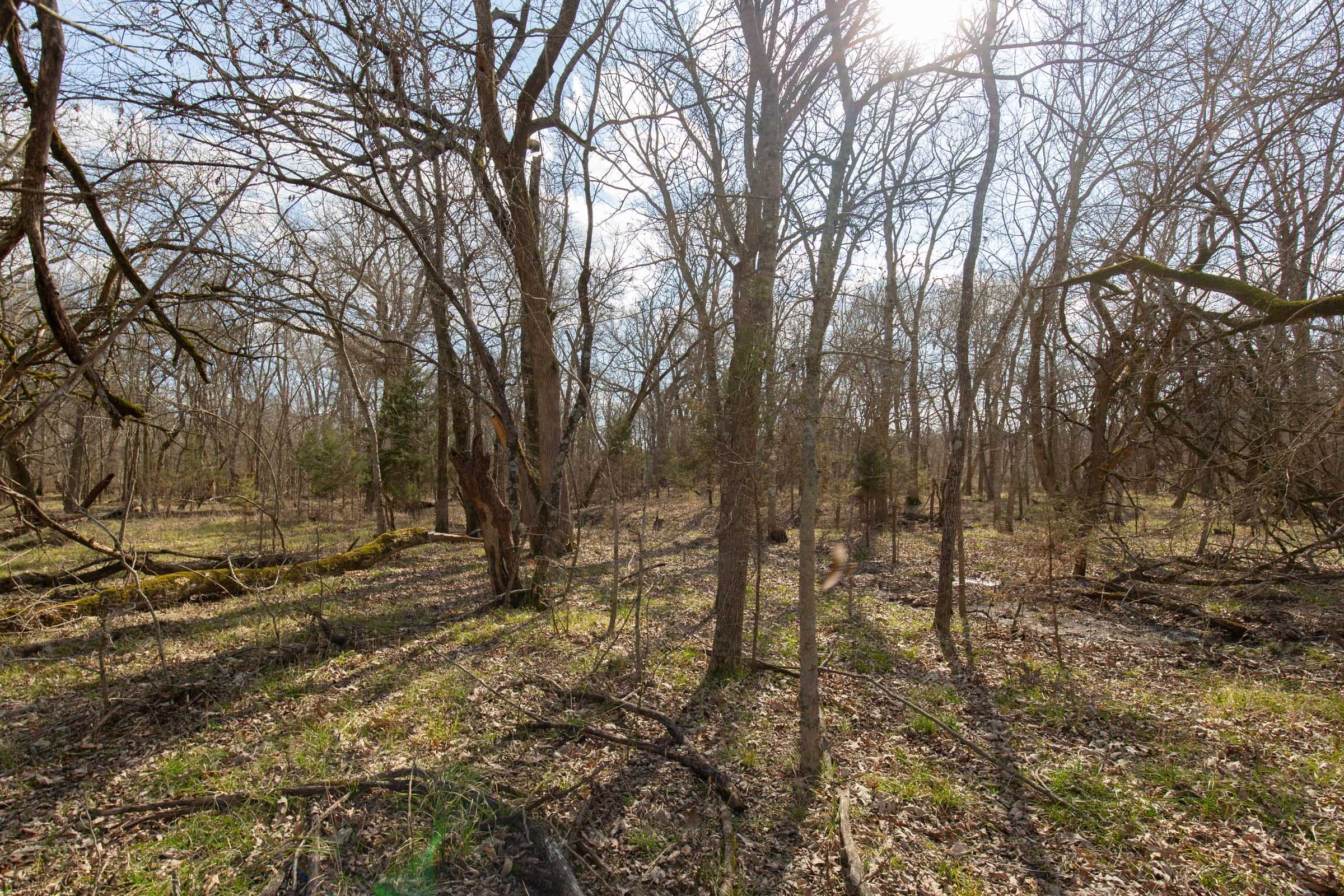 Wishing Star Ranch Tract 65 photo 3