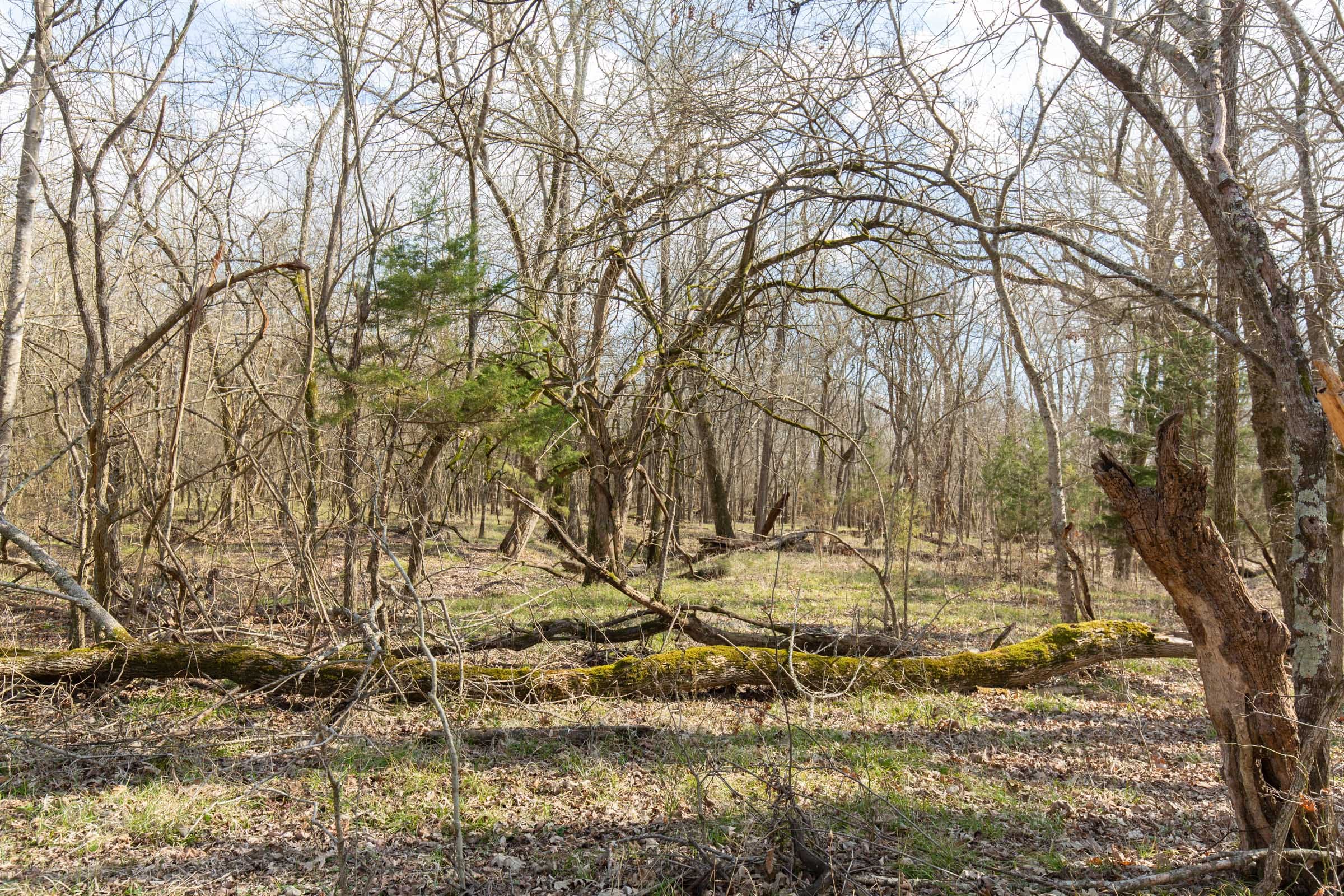 Wishing Star Ranch Tract 65 photo 4