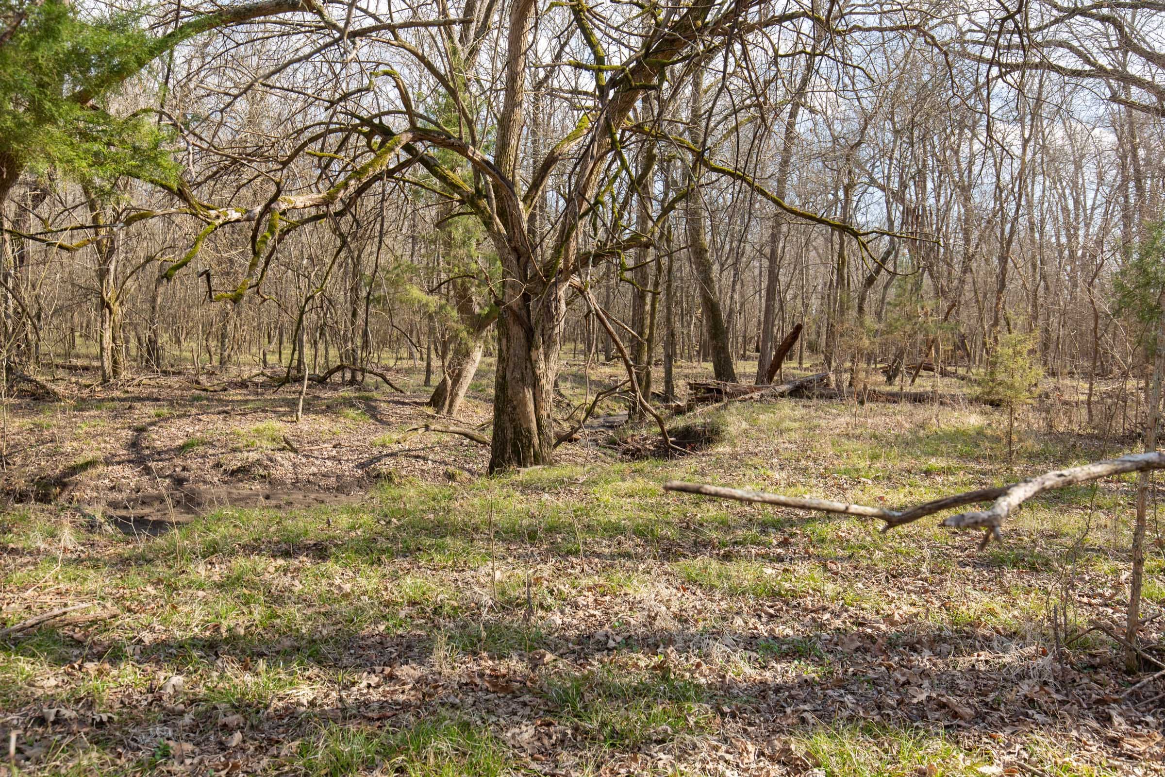 Wishing Star Ranch Tract 65 photo 5