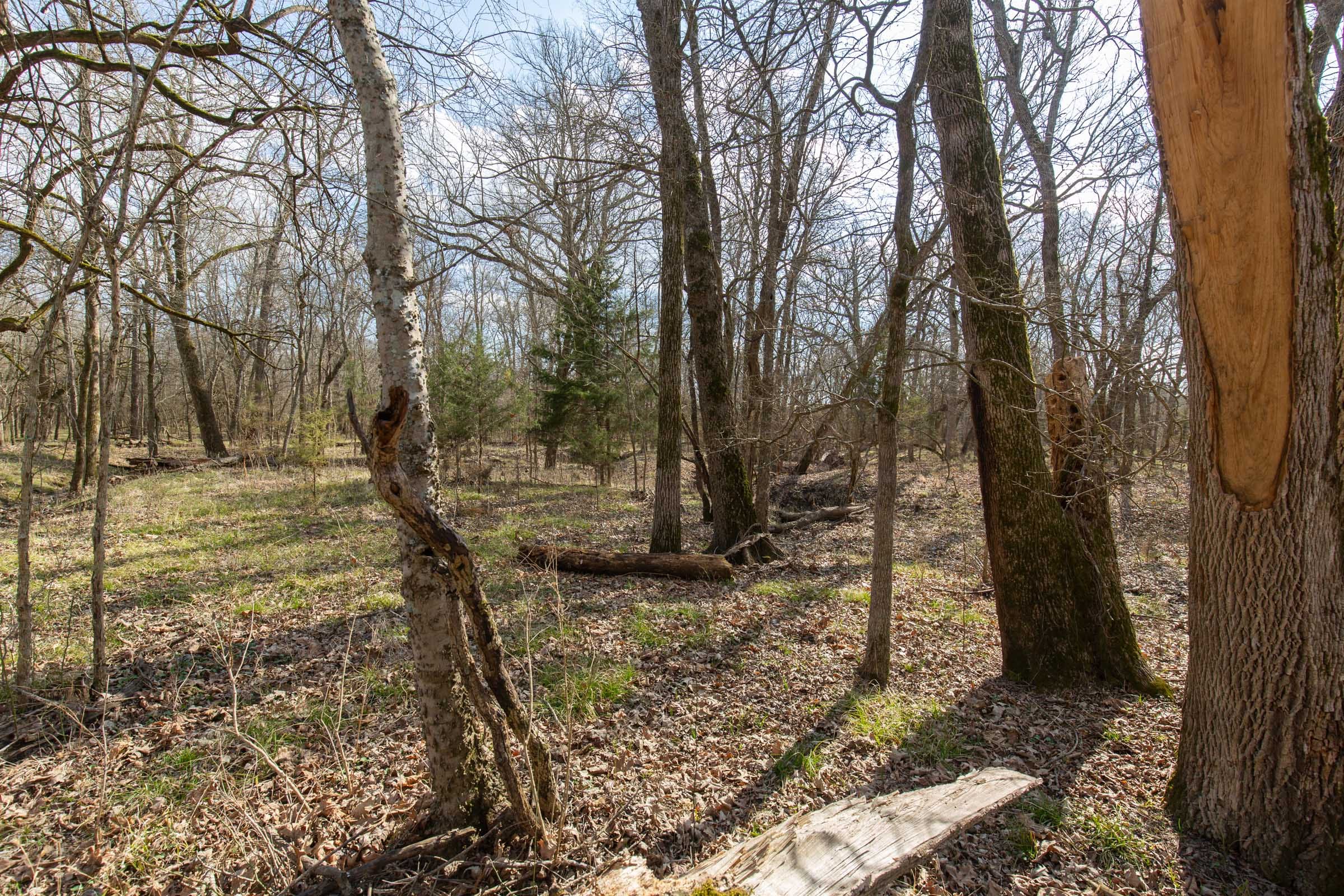 Wishing Star Ranch Tract 65 photo 8