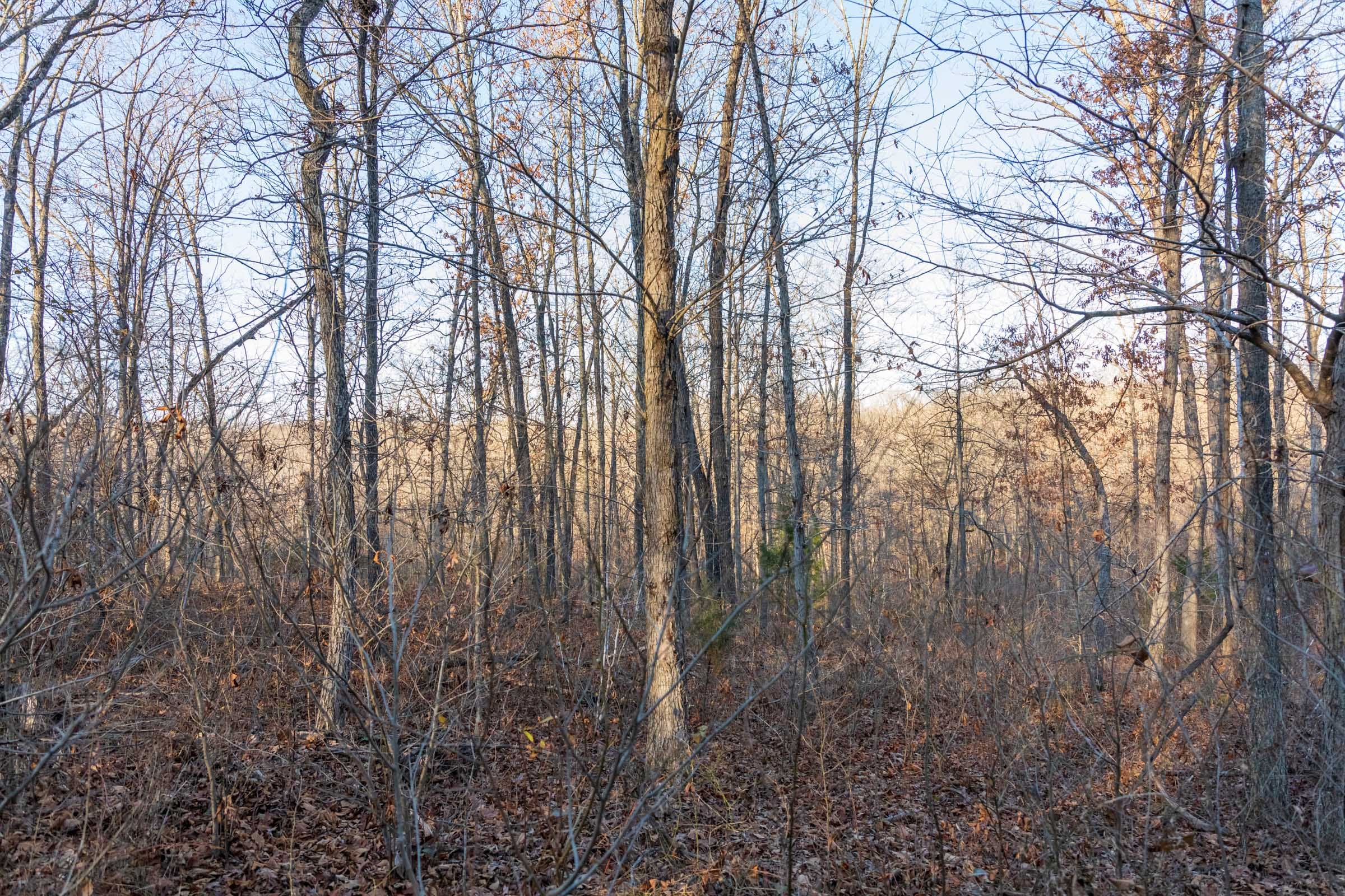 Crossroads Tract 22 photo 1