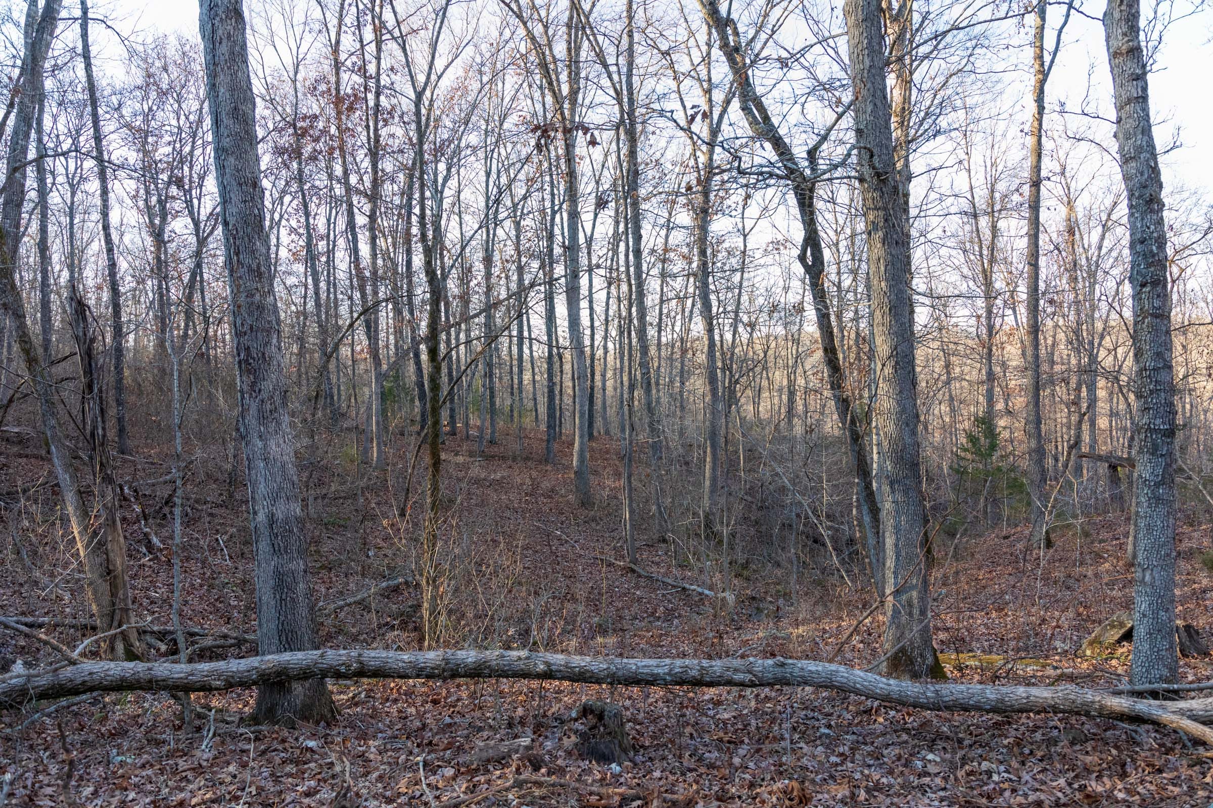 Crossroads Tract 22 photo 2