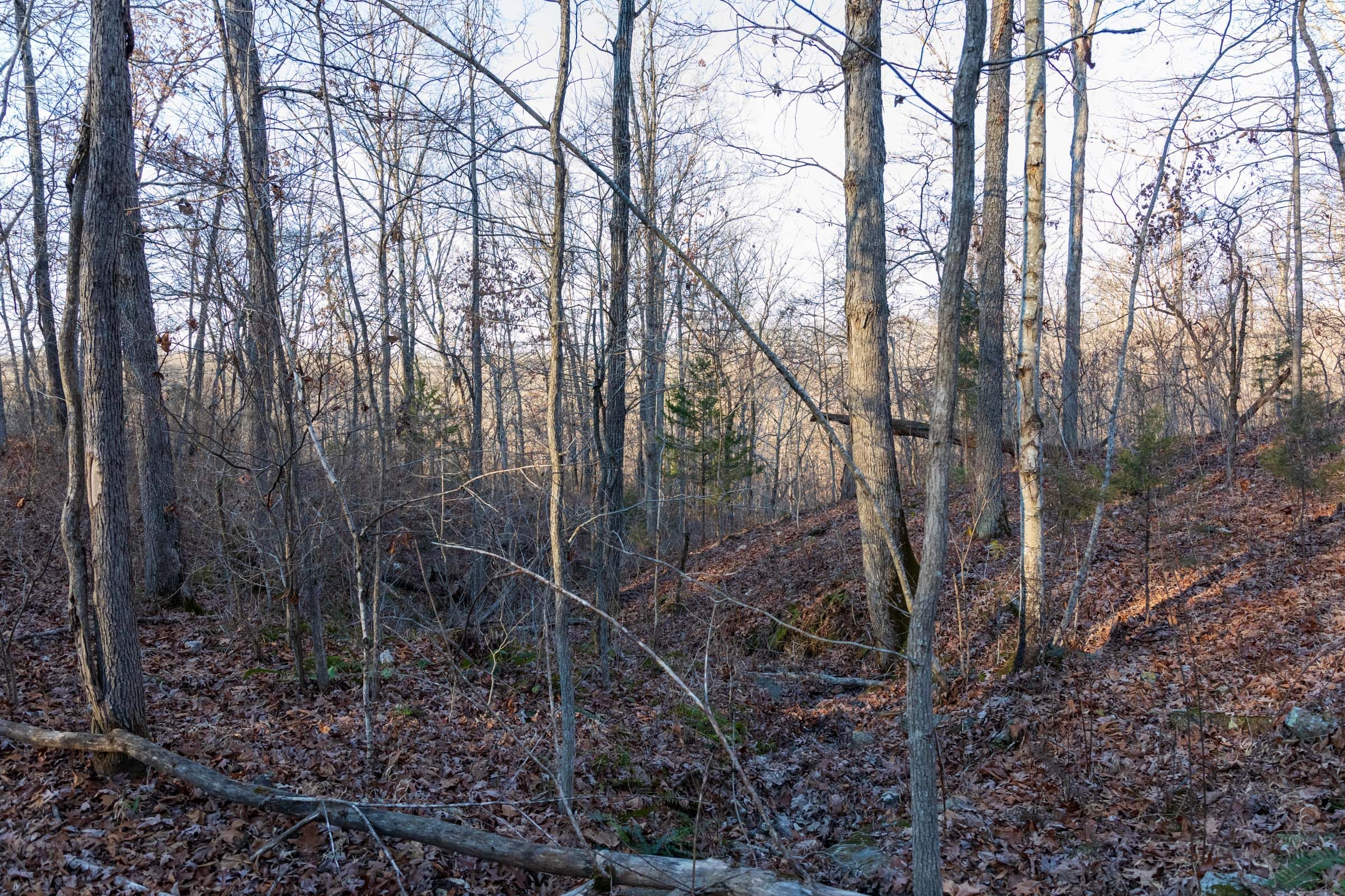 Crossroads Tract 22 photo 3