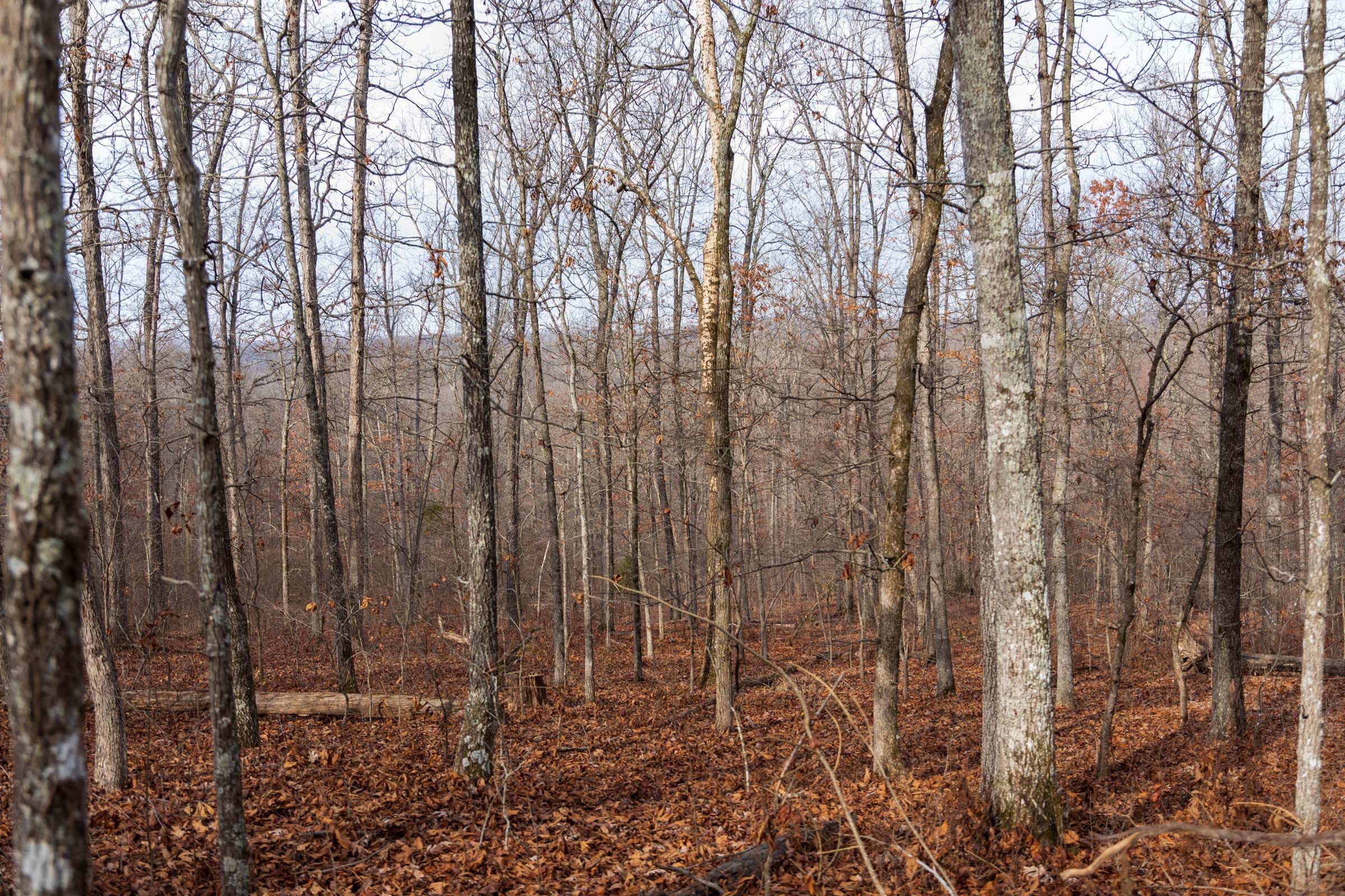 Crossroads Tract 22 photo 5