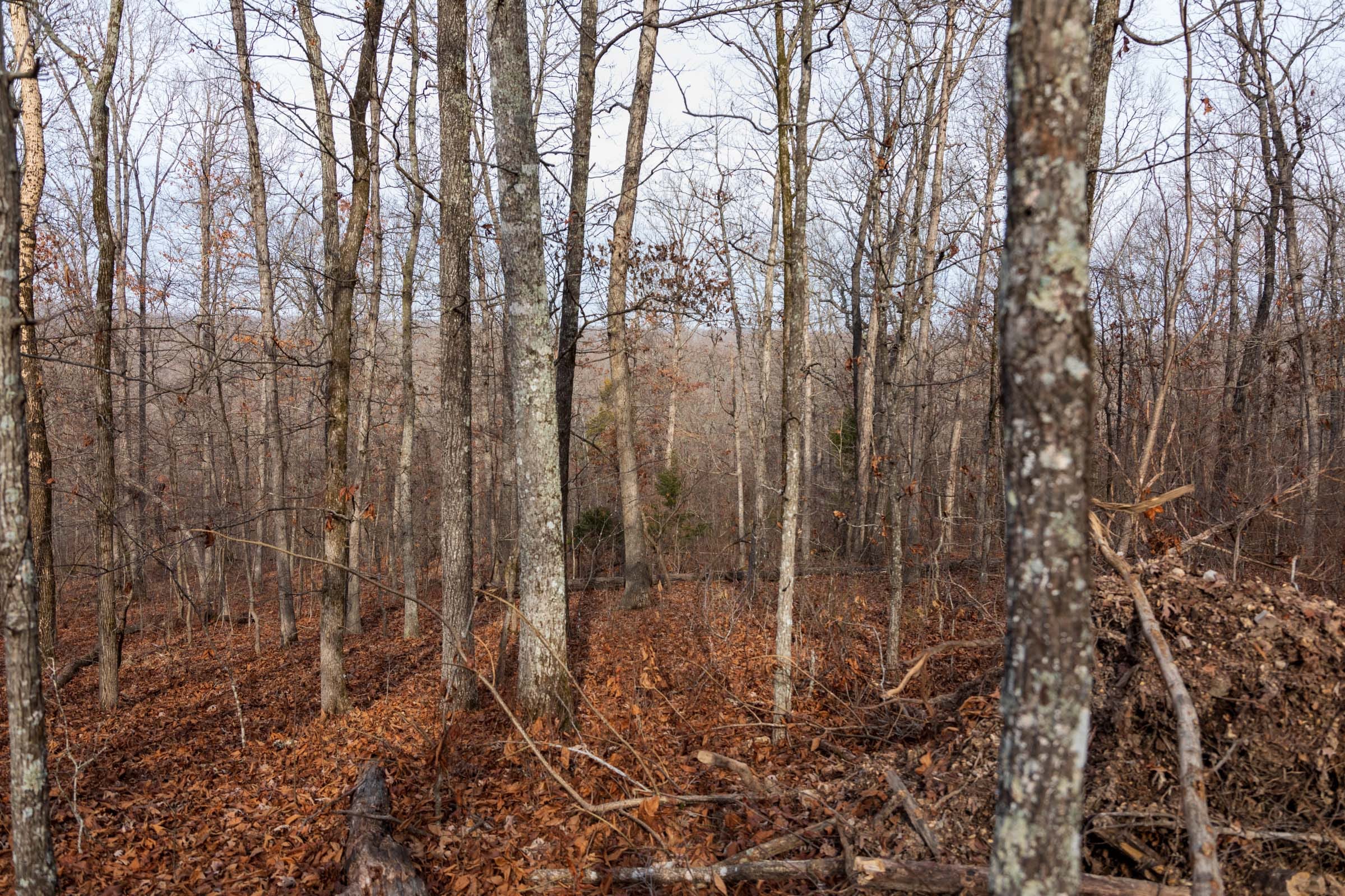 Crossroads Tract 22 photo 6