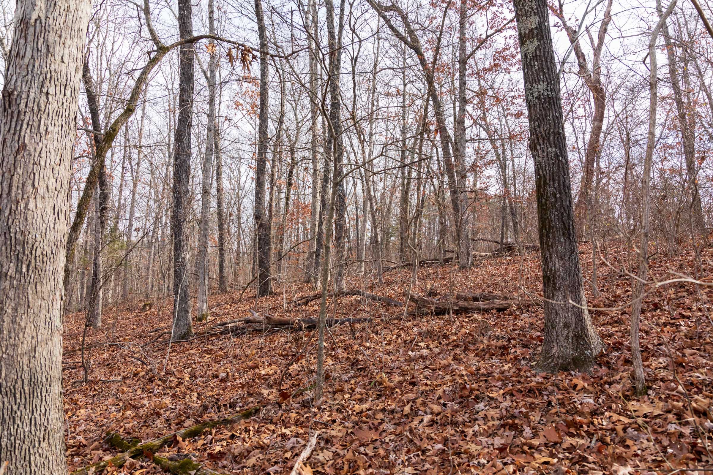 Crossroads Tract 22 photo 7