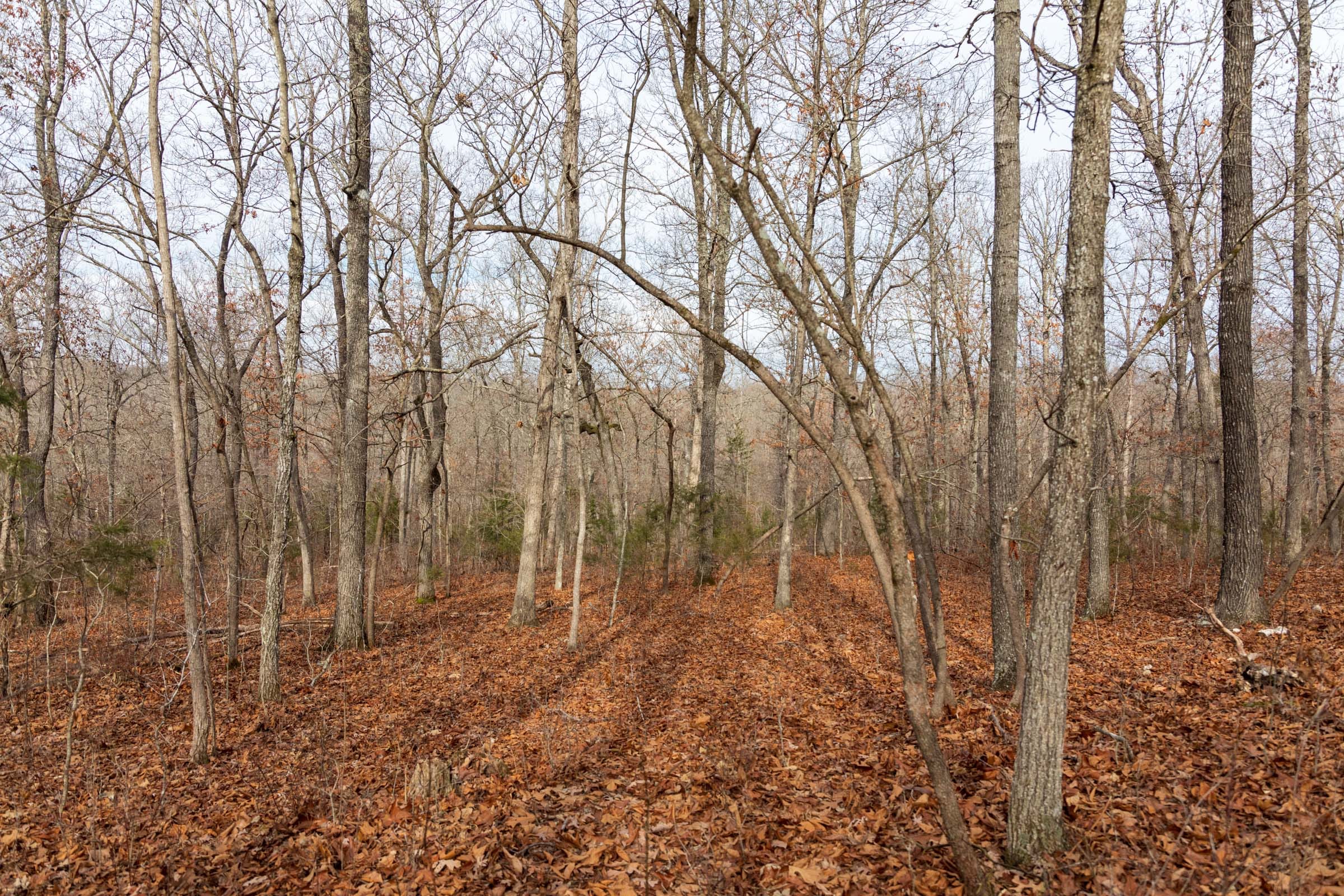 Crossroads Tract 22 photo 8