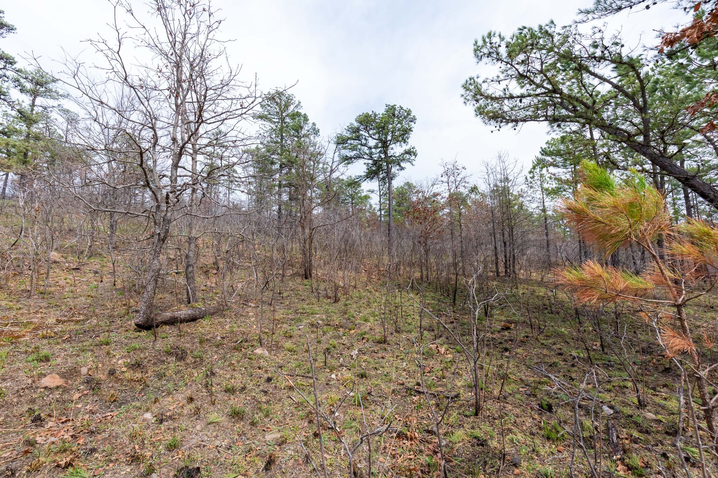 Stone Bridge Phase III Tract 141 photo 11