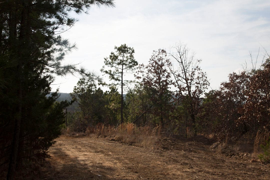 Stone Creek Phase III Tract 83 photo 1