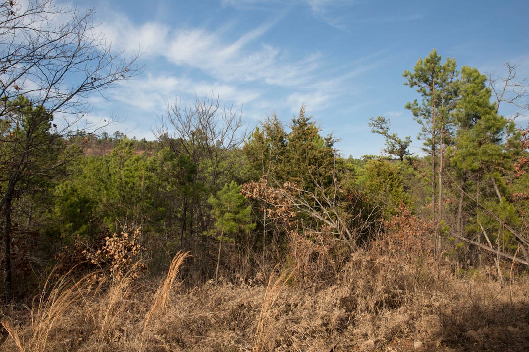 Stone Creek Phase III Tract 83 photo 2