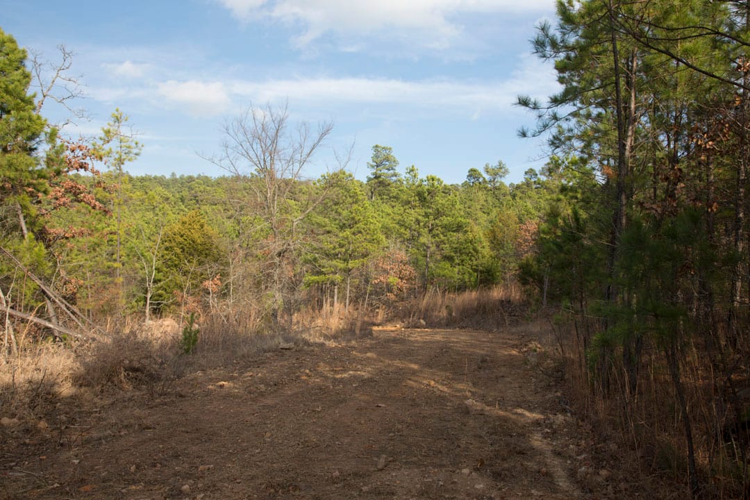 Stone Creek Phase III Tract 83 photo 3