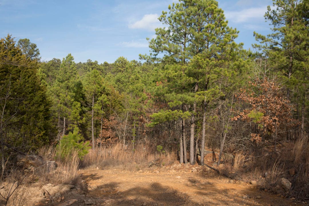 Stone Creek Phase III Tract 83 photo 5