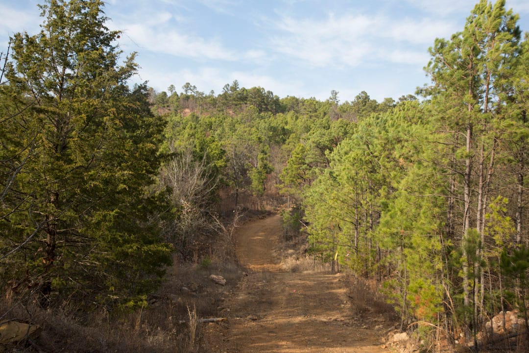 Stone Creek Phase III Tract 83 photo 7