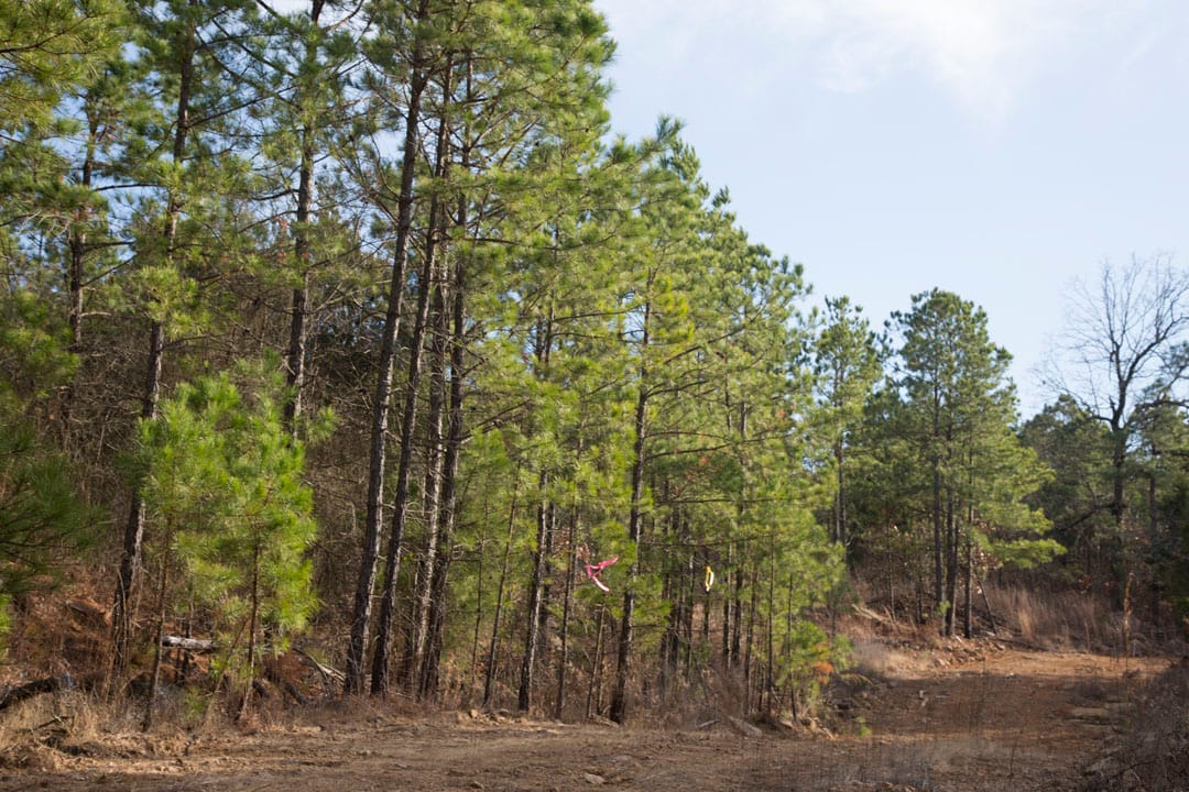 Stone Creek Phase III Tract 83 photo 8