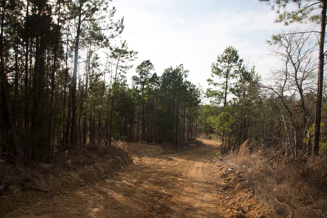Stone Creek Phase III Tract 83 photo 9
