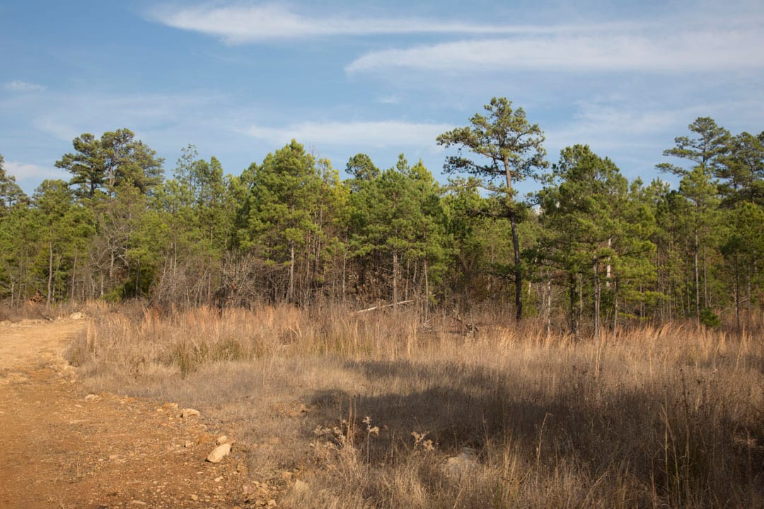 Stone Creek Phase III Tract 83 photo 12