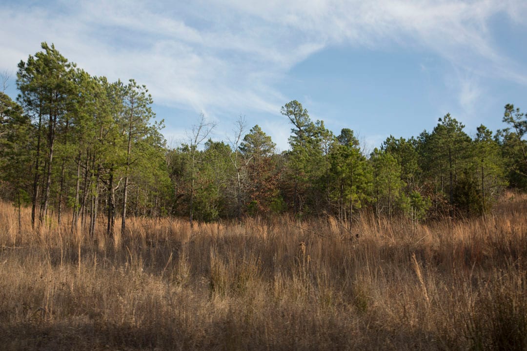 Stone Creek Phase III Tract 83 photo 13