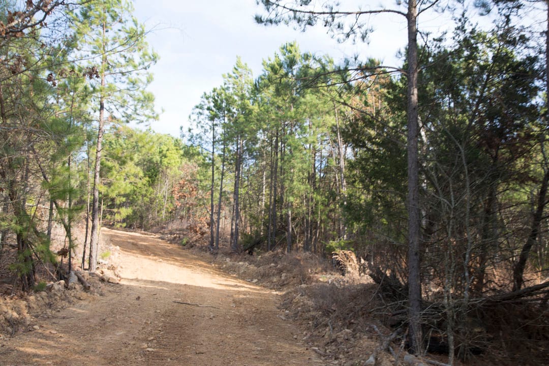 Stone Creek Phase III Tract 83 photo 14