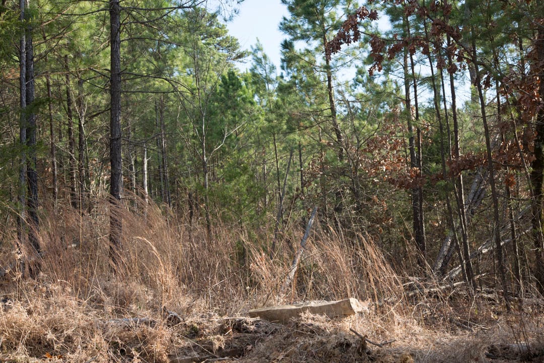 Stone Creek Phase III Tract 83 photo 15