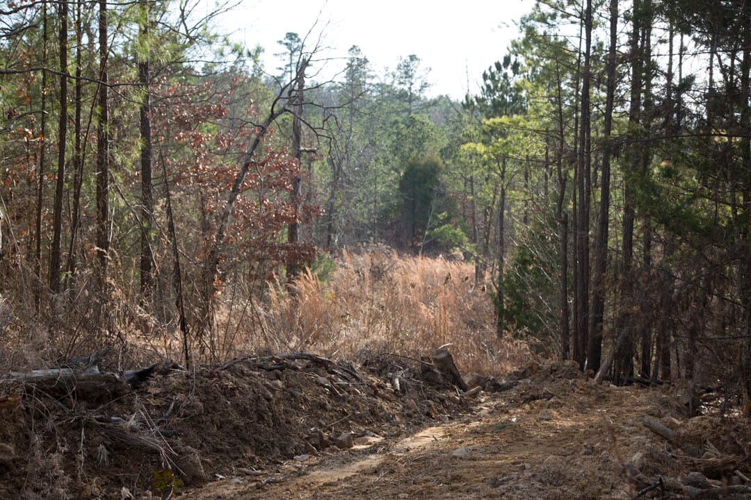 Stone Creek Phase III Tract 83 photo 16
