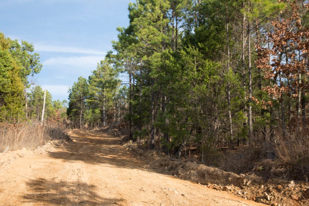 Stone Creek Phase III Tract 83 photo 17