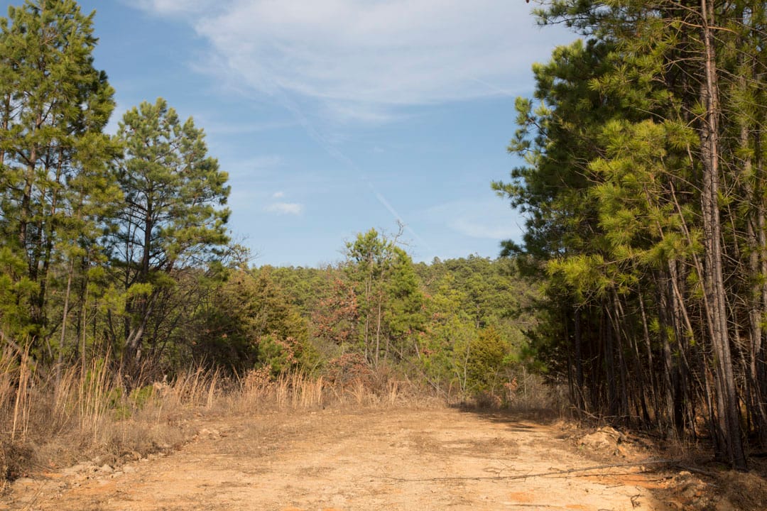 Stone Creek Phase III Tract 83 photo 19
