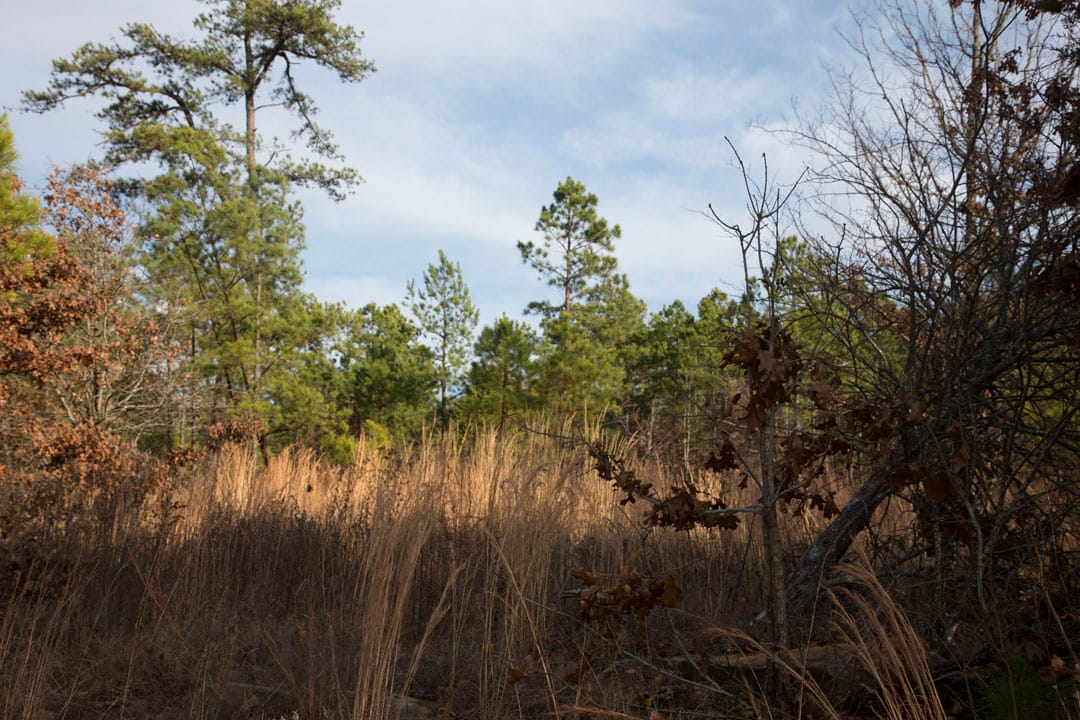 Stone Creek Phase III Tract 83 photo 20