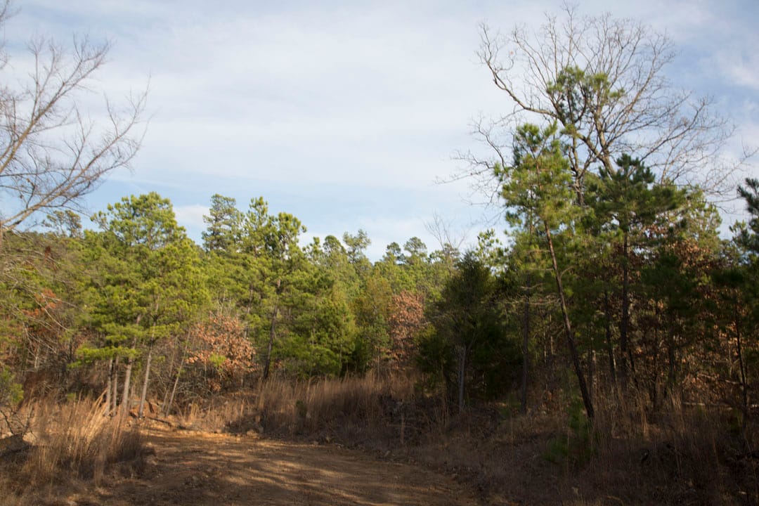 Stone Creek Phase III Tract 83 photo 21