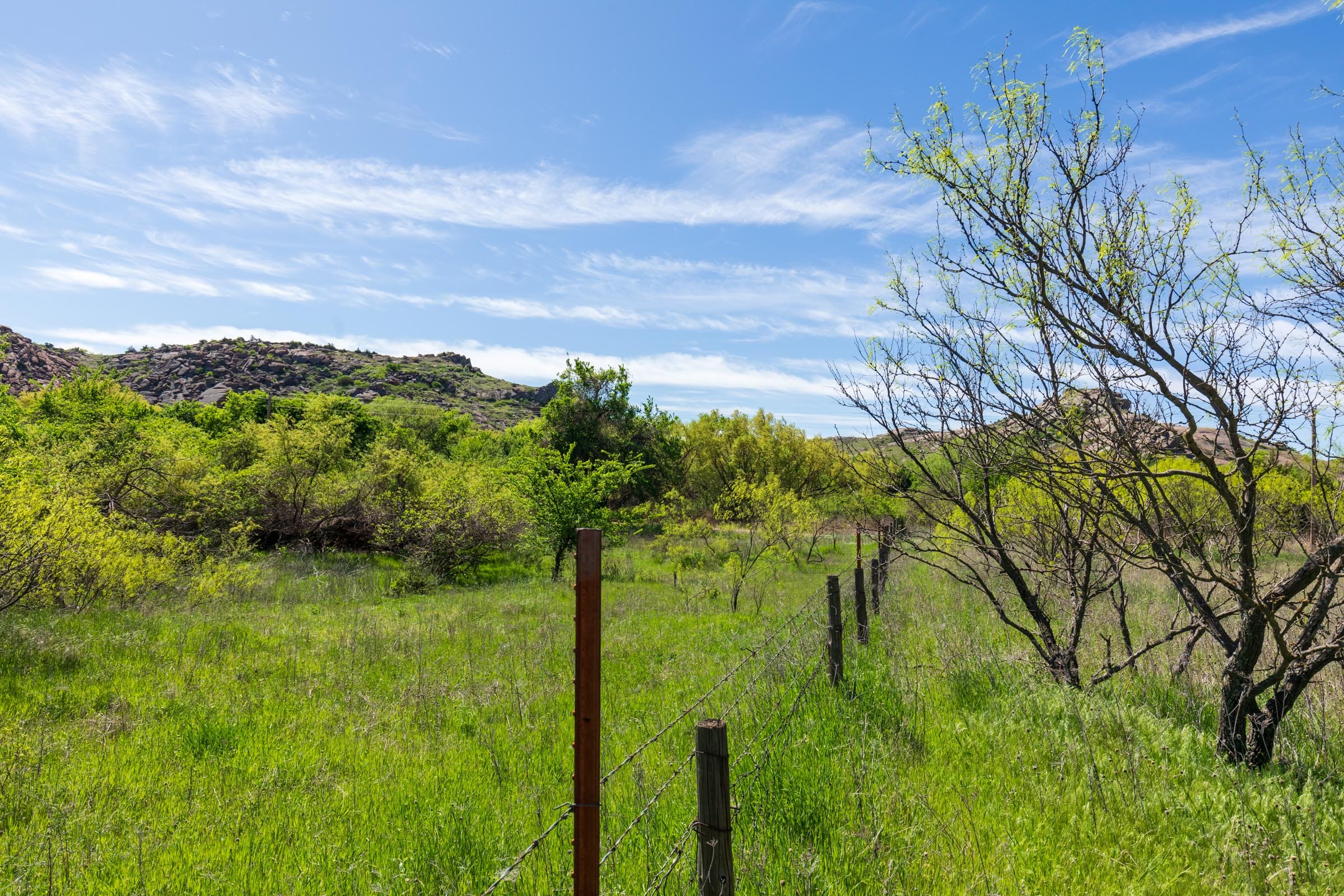 Hackberry Fields Tract 27 photo 3