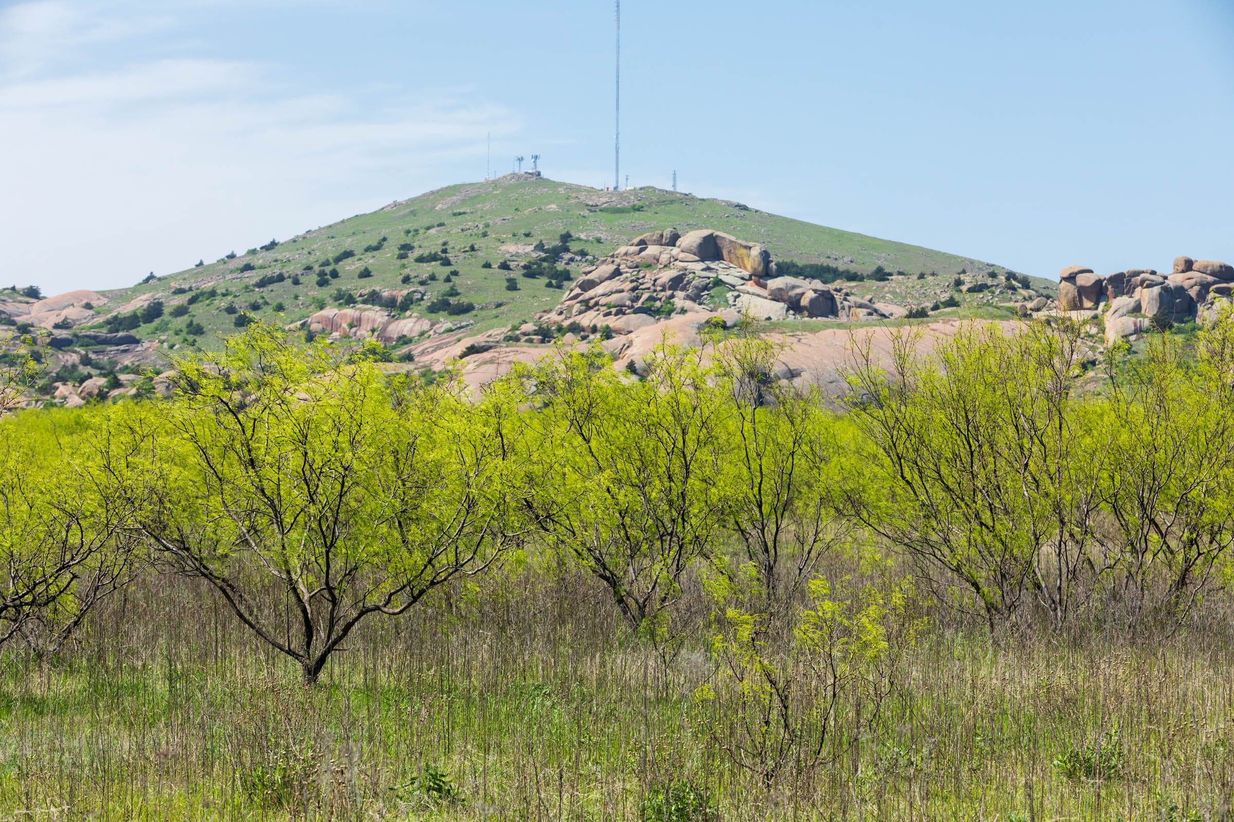 Hackberry Fields Tract 27 photo 4