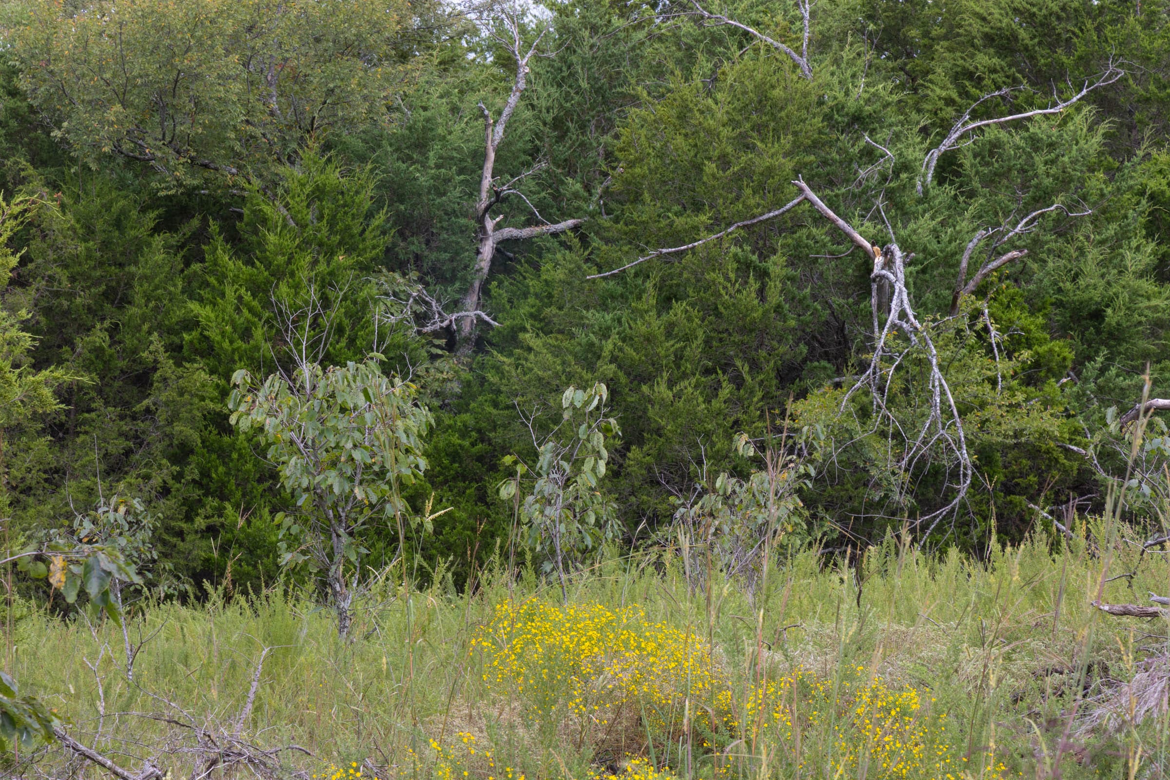 Reserves At Cattail Cove Phase II Tract 47 photo 5